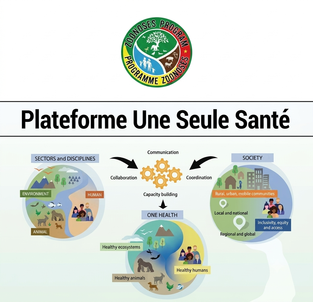 Les principes de la plateforme « Une seule santé ». Crédit : Programme Zoonoses Cameroun