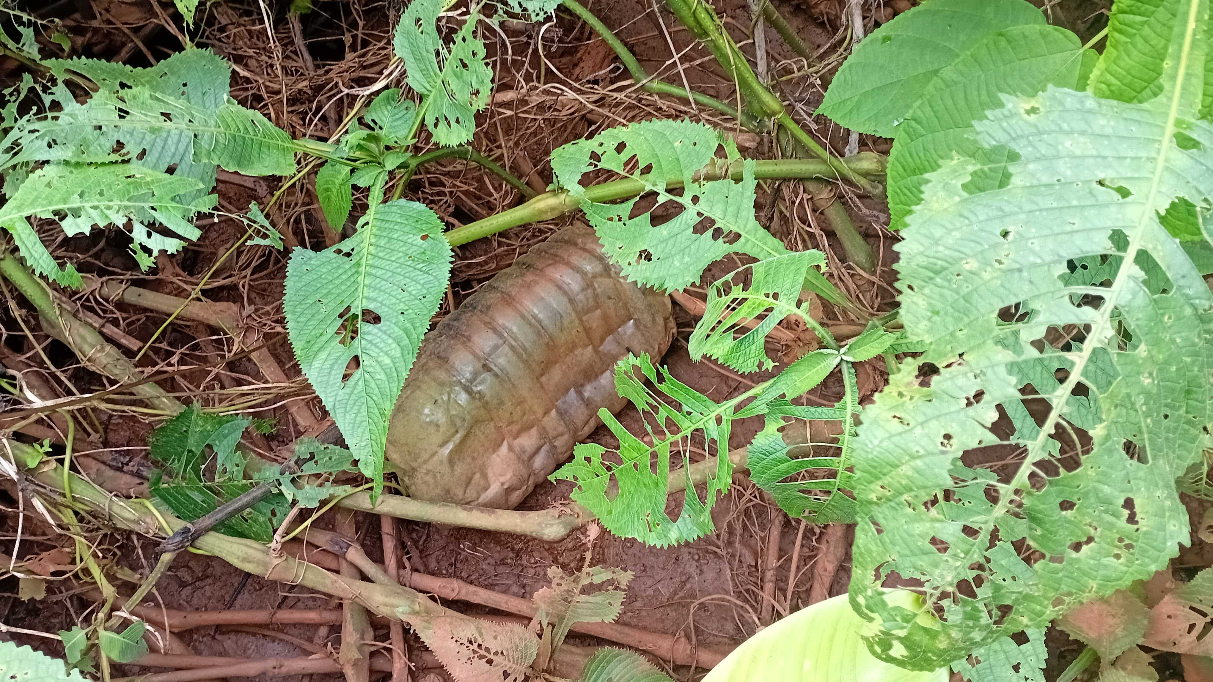 Un bidon en plastique abandonné dans la nature. Crédit : Sidoine FEUGUI