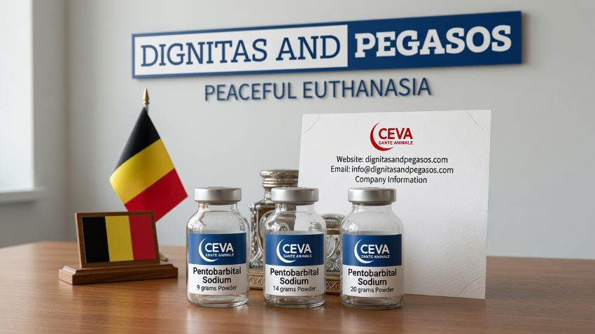 Nembutal for Sale in Belgium: The Complete Guide by Dignitas and Pegasos