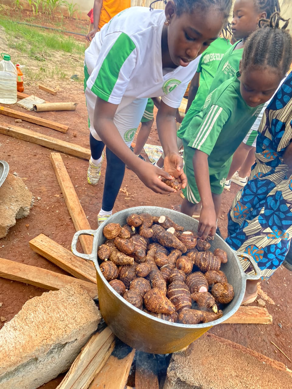 Les élèves en pleine cuisson du taro à l