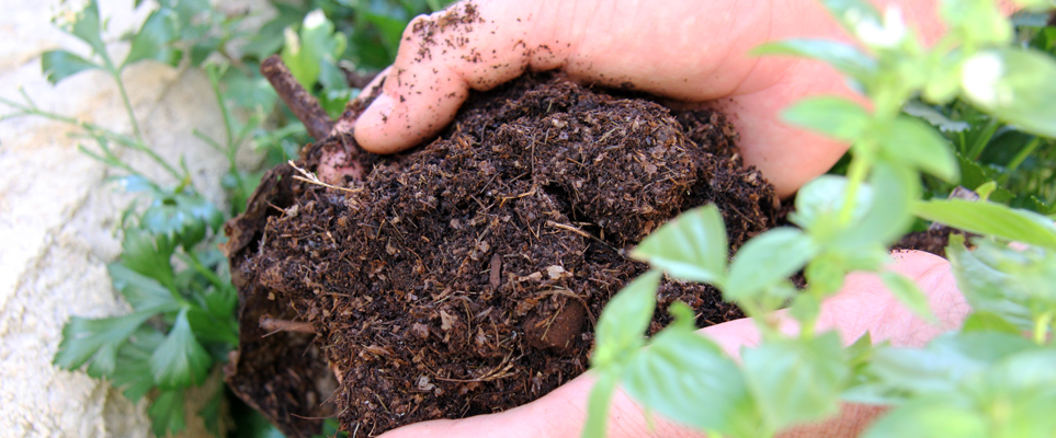 Compost