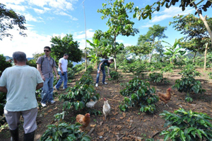 a local farm in Monserrate a local farm in Monserrate