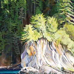 Carole Baker Gallery of Original Fine Art