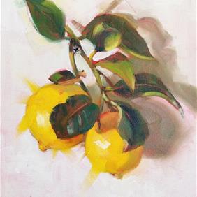 Cindy Haase Gallery of Original Fine Art