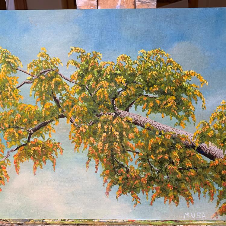 R. "Moose" Musa Gallery of Original Fine Art