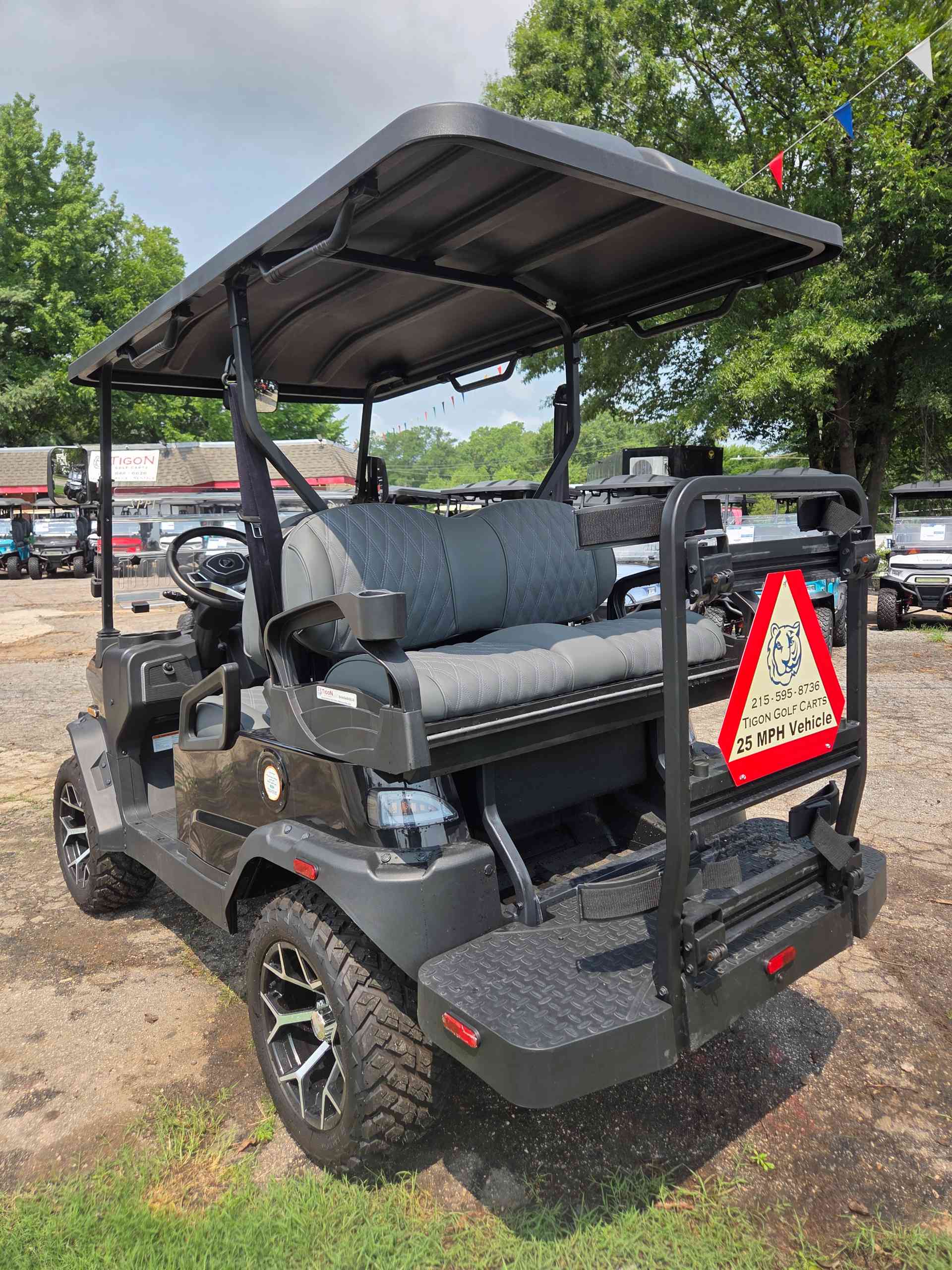 2026 Denago Nomad XL Black golf cart in Black — photo 3 of 4, Raleigh, NC