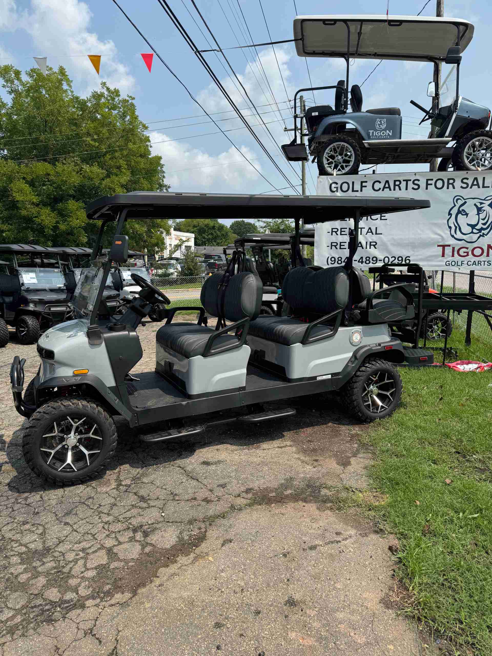 2025 Denago Rover XL6 Gray golf cart in Gray — photo 2 of 4, Raleigh, NC