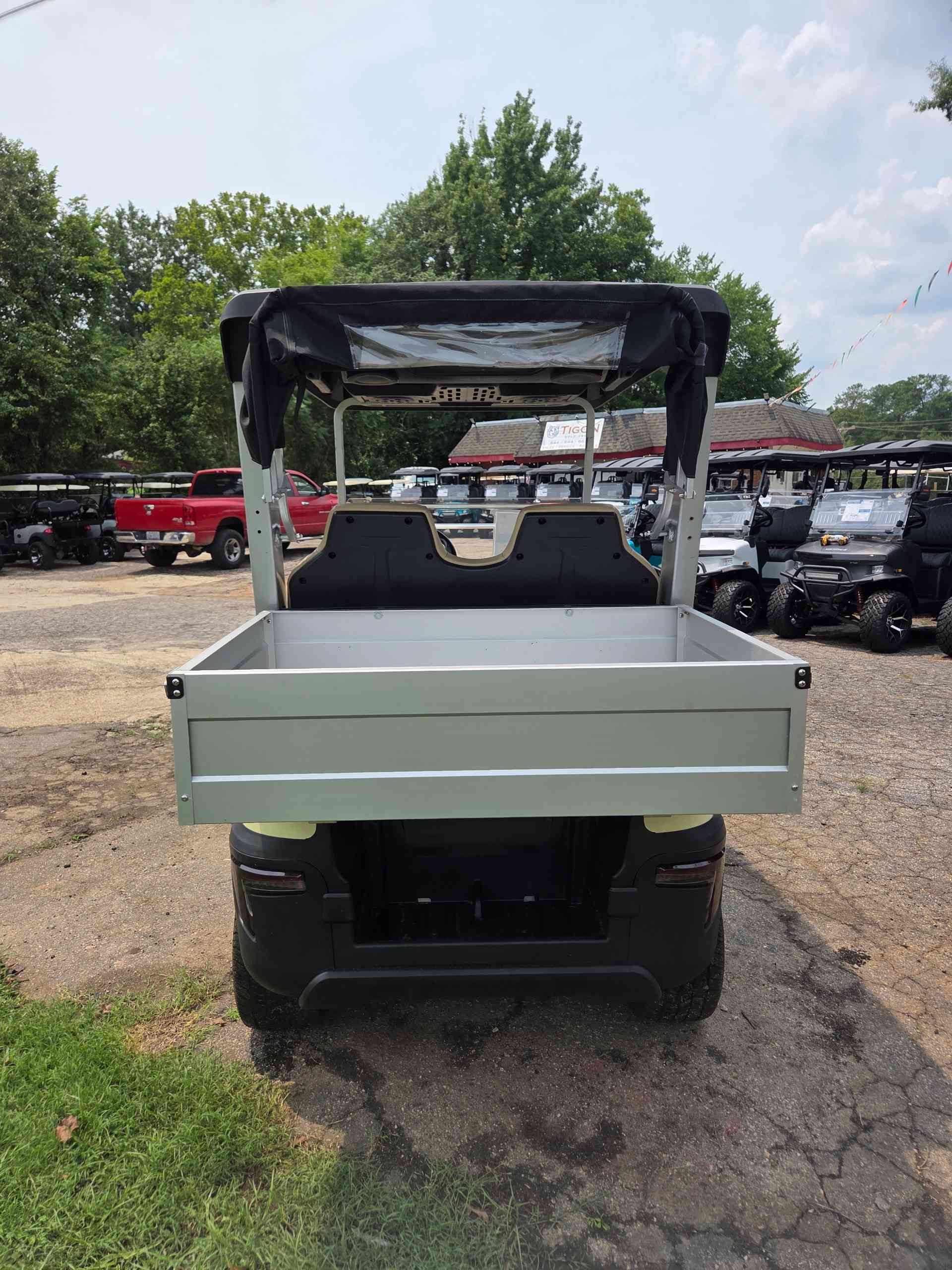 2025 Tara Spirit Plus Beige golf cart in Beige — photo 4 of 4, Raleigh, NC