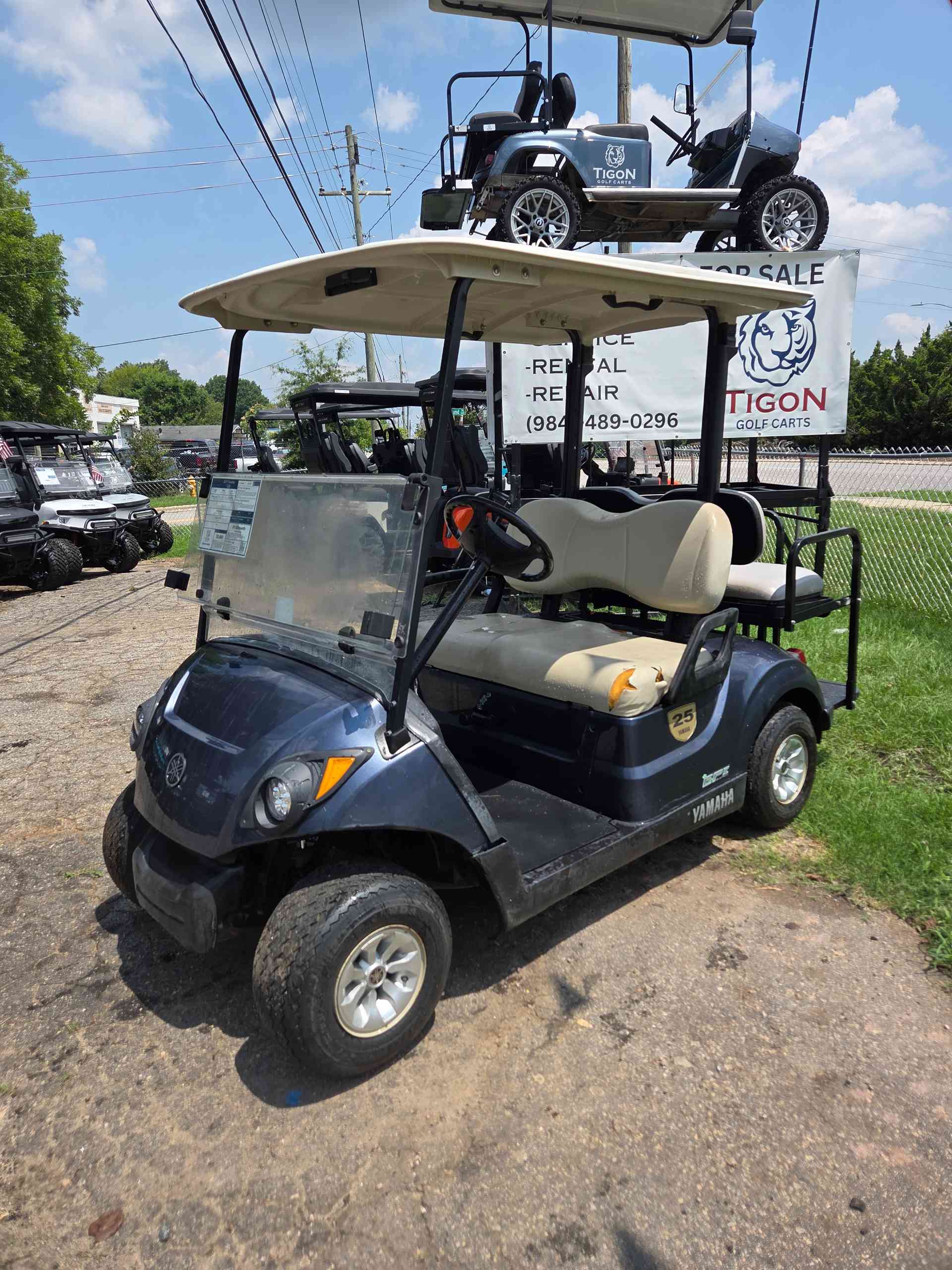 2017 Yamaha G29 Golf Cart in Blue