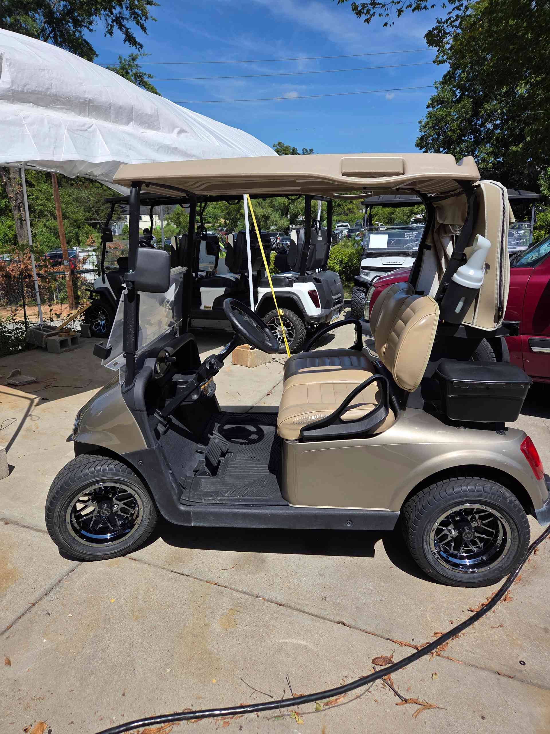 EZGO RXV Champane image 2