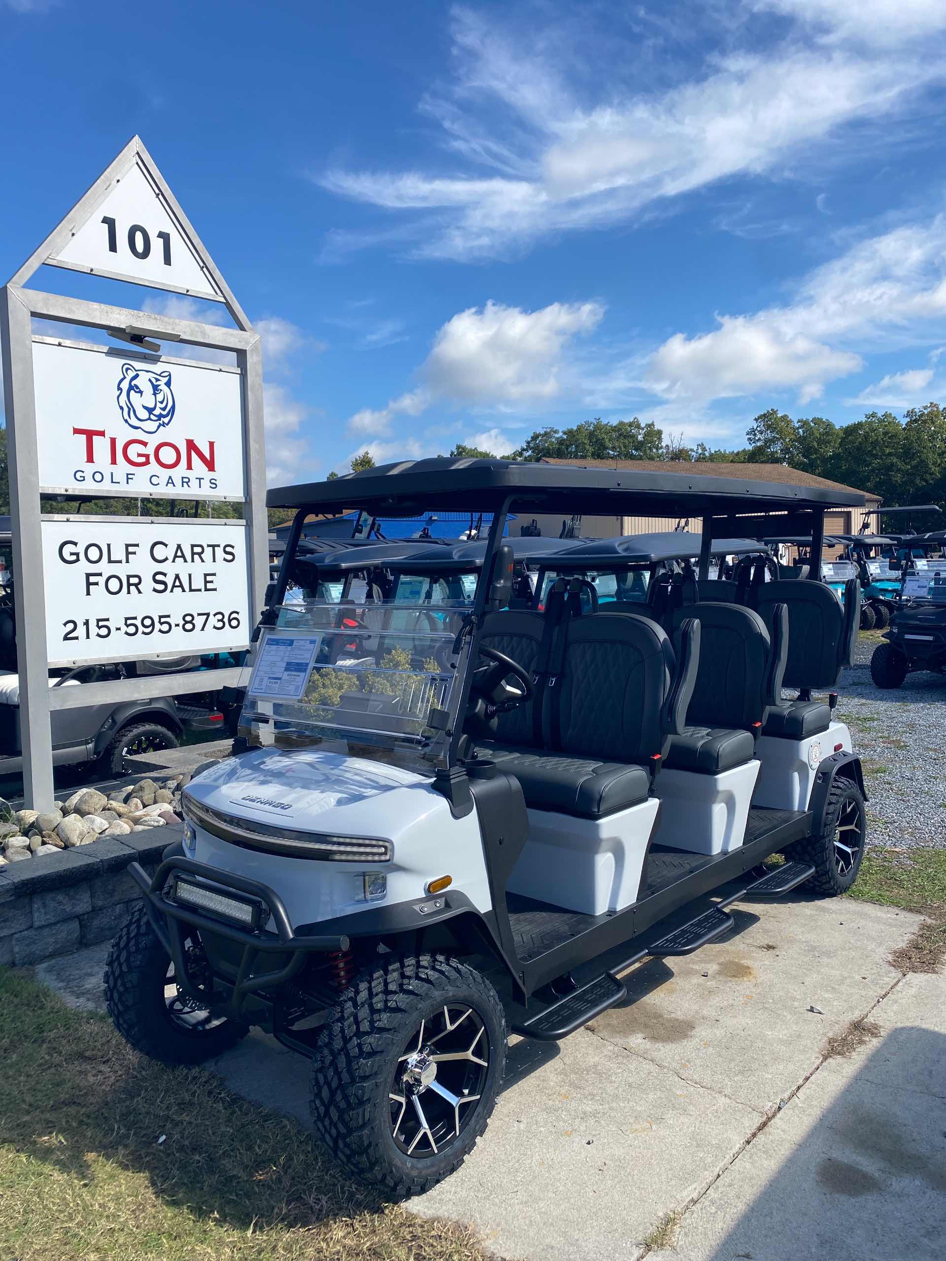 2026 Denago Rover XXL Golf Cart in White