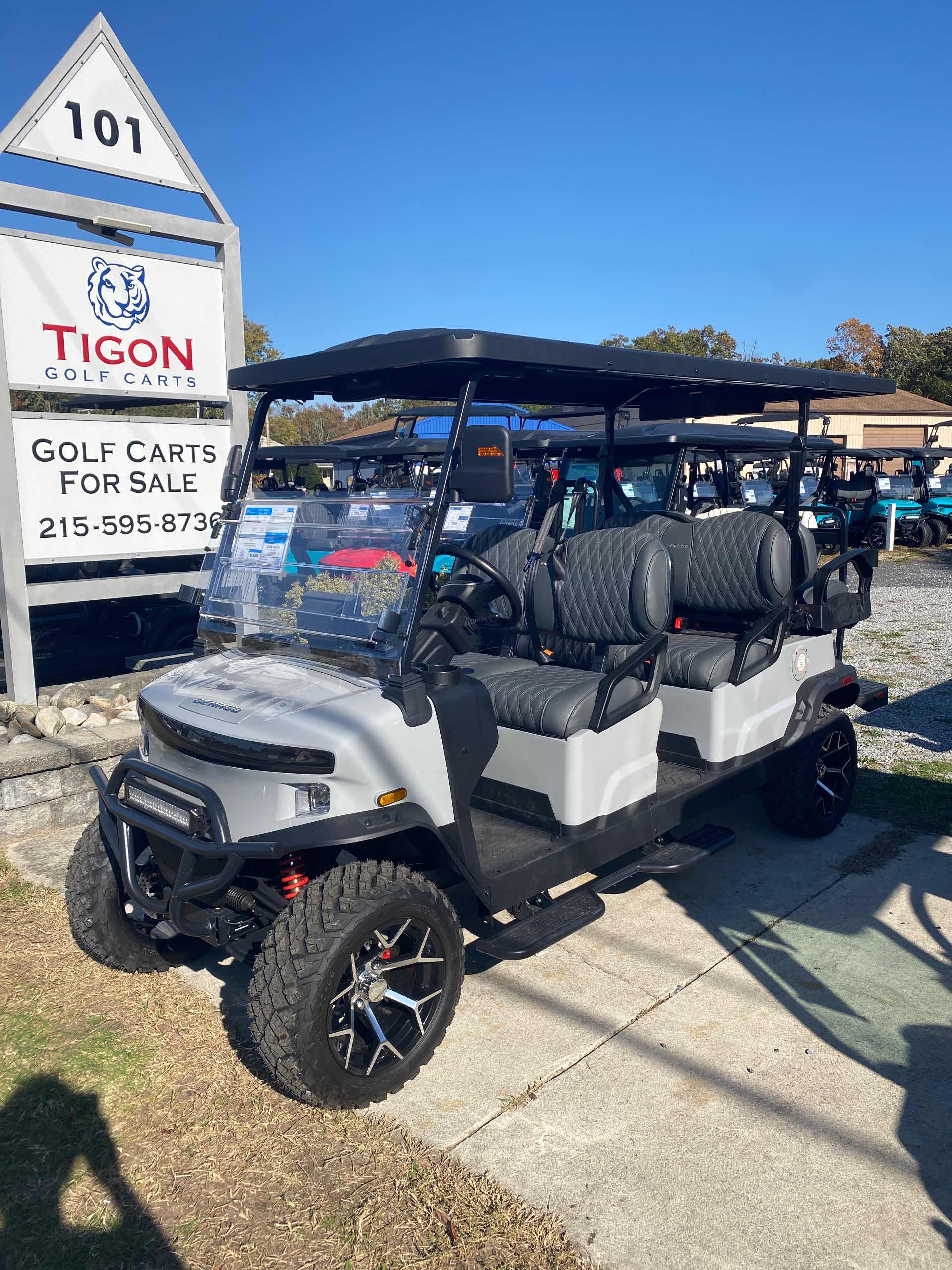 2026 Denago Rover XL6 in Gray Golf Cart