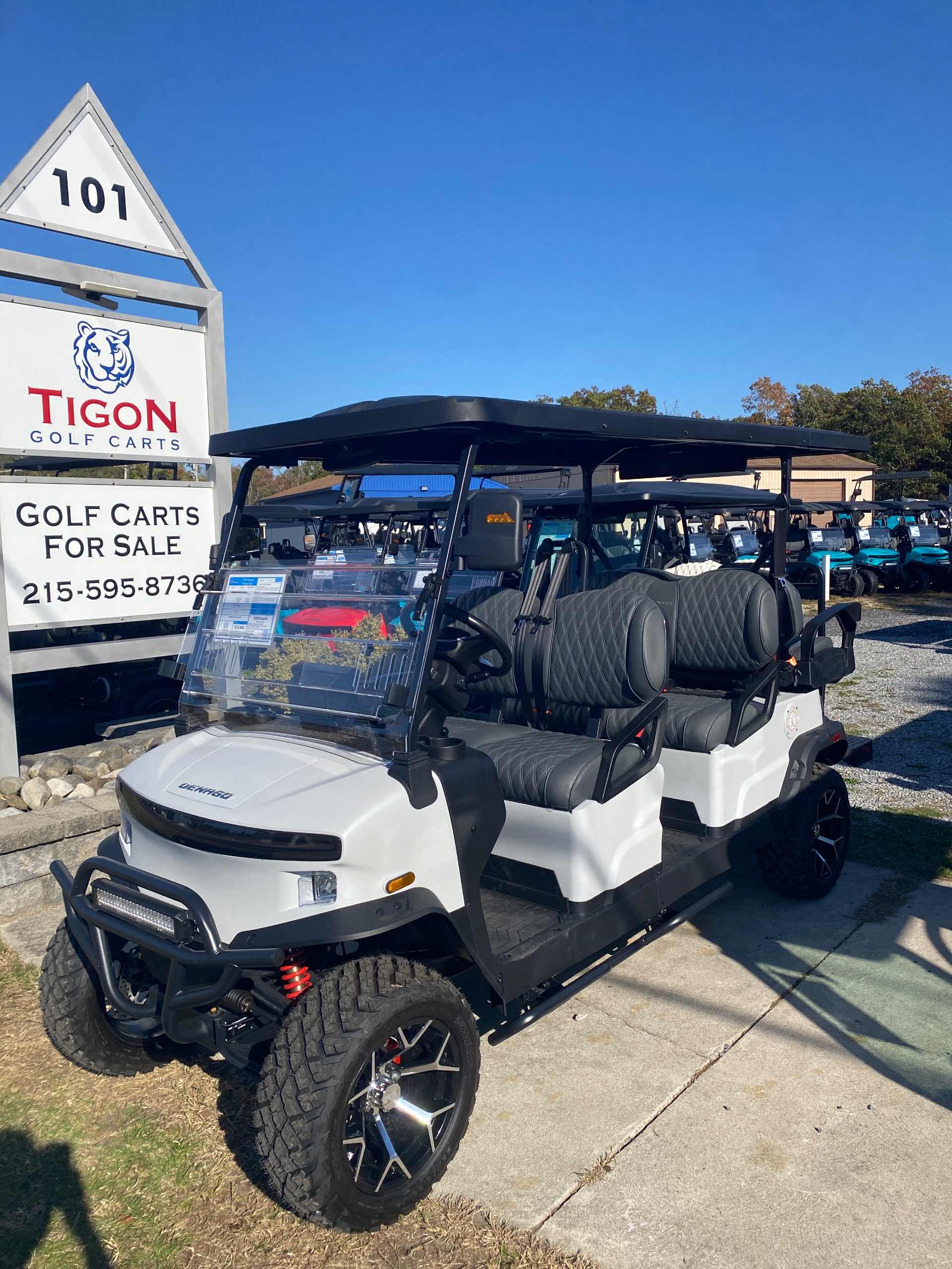 2026 Denago Rover XL6 in Matte White Golf Cart