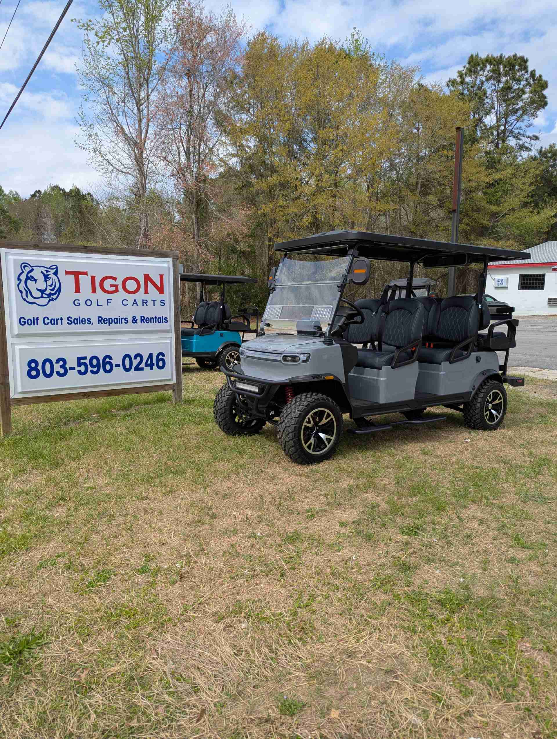 2026 TEKO EV TROPHY PLUS Golf Cart in Nardo Gray