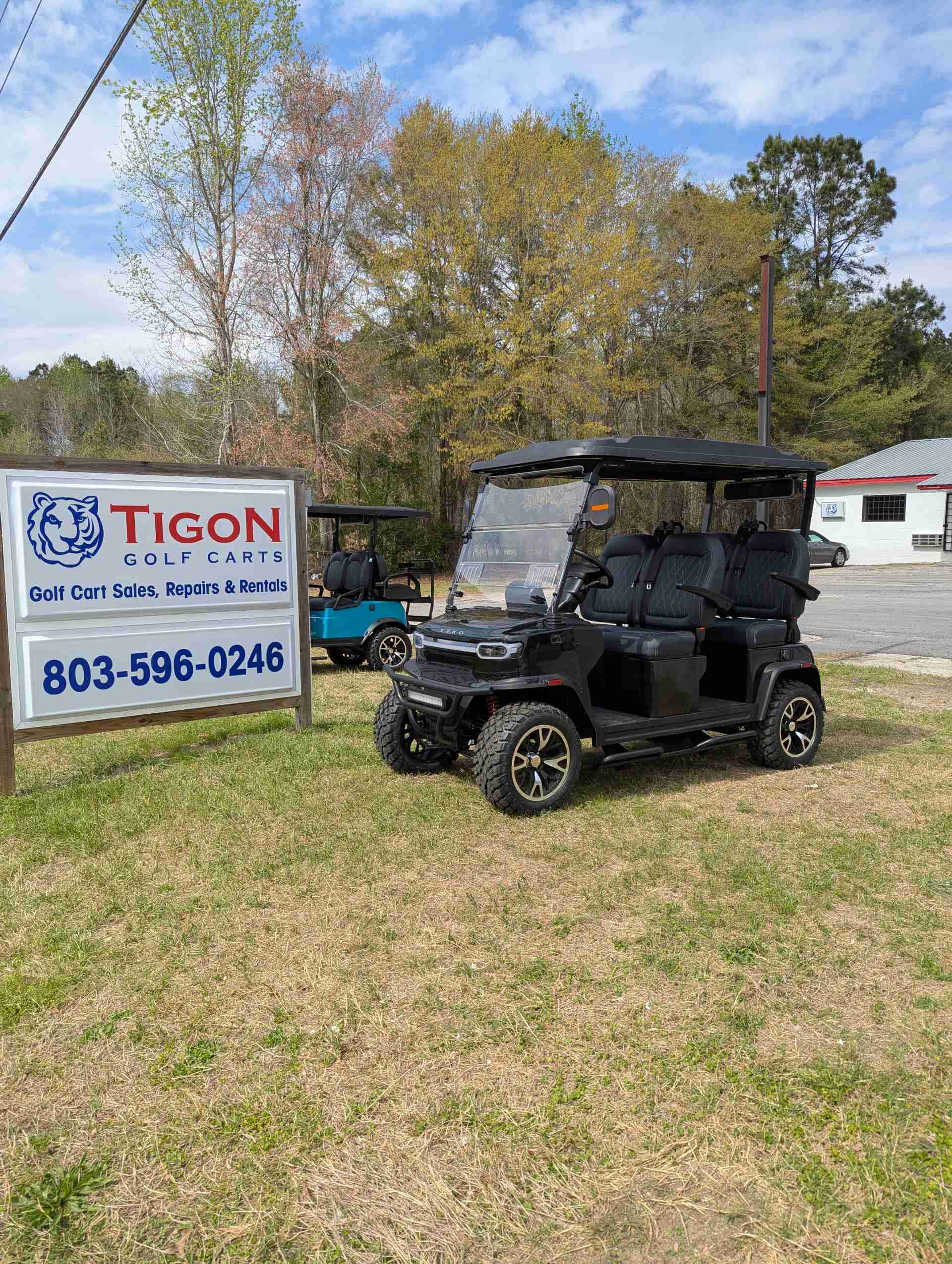 2026 TEKO EV TROPHY Golf Cart in Metallic Black