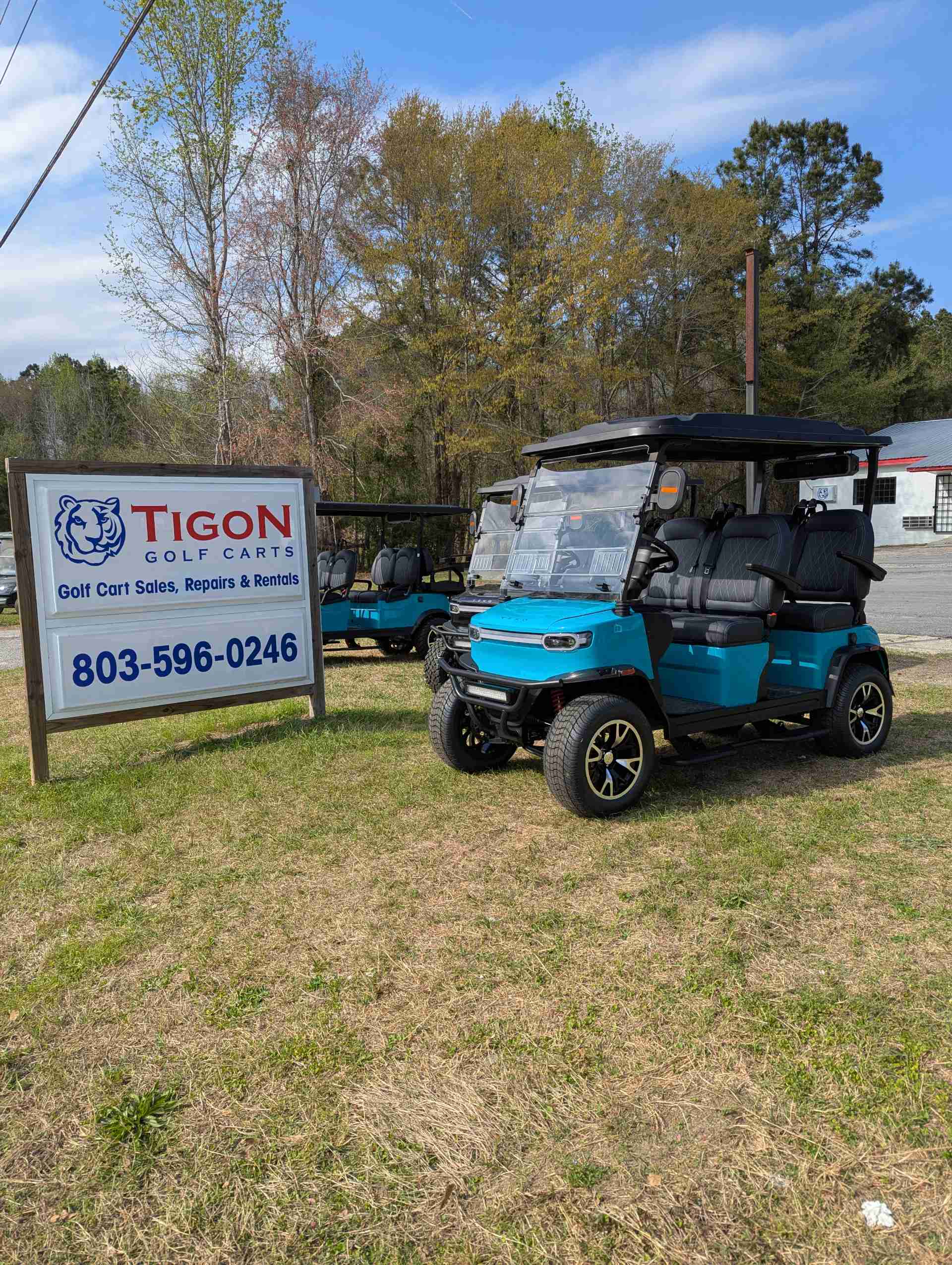 2026 TEKO EV TROPHY Gulf Blue golf cart for sale in Orangeburg, SC — July 4th Golf Cart Sales Event