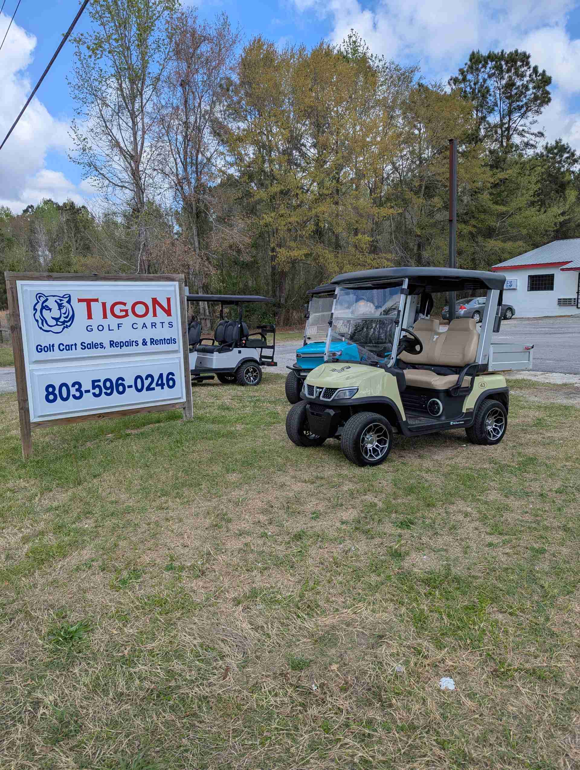 2025 Tara Spirit Plus Golf Cart in Beige