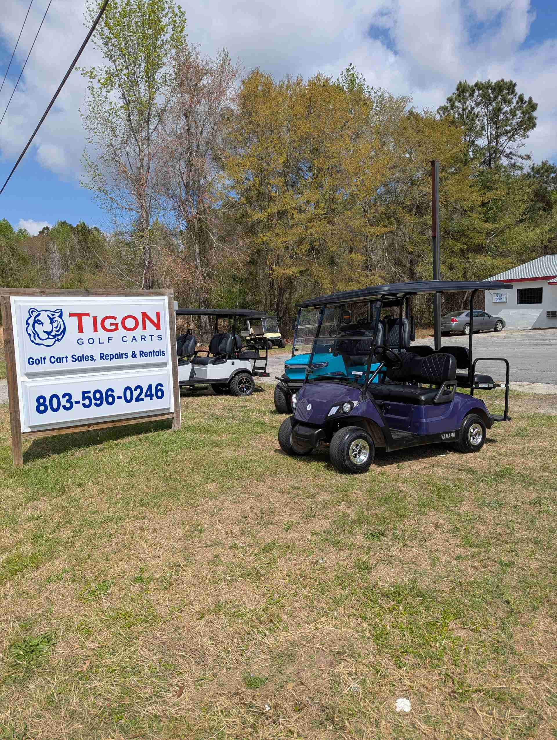2016 Yamaha Drive 2 Golf Cart in Purple