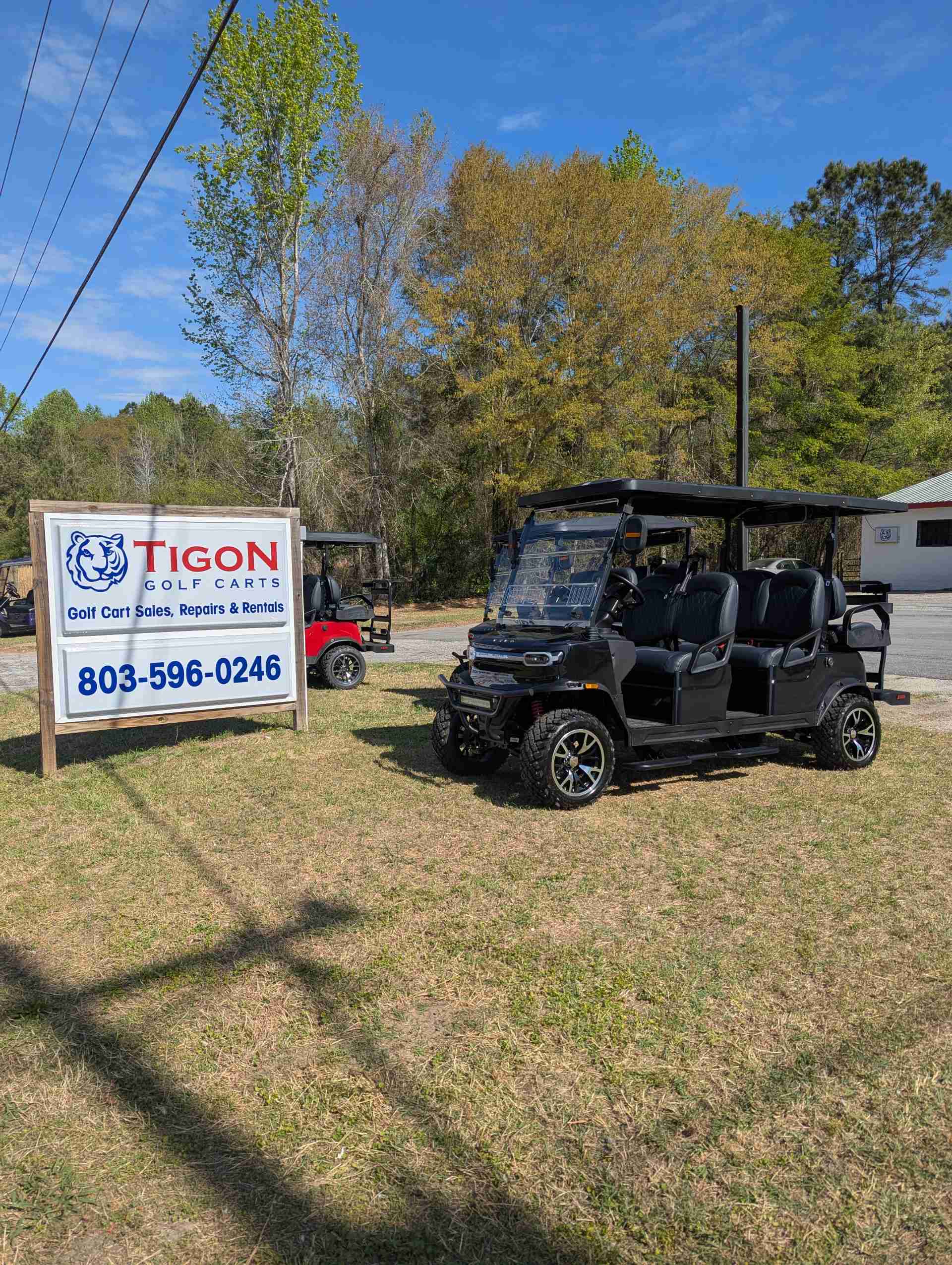 2026 TEKO EV TROPHY PLUS Golf Cart in Metallic Black