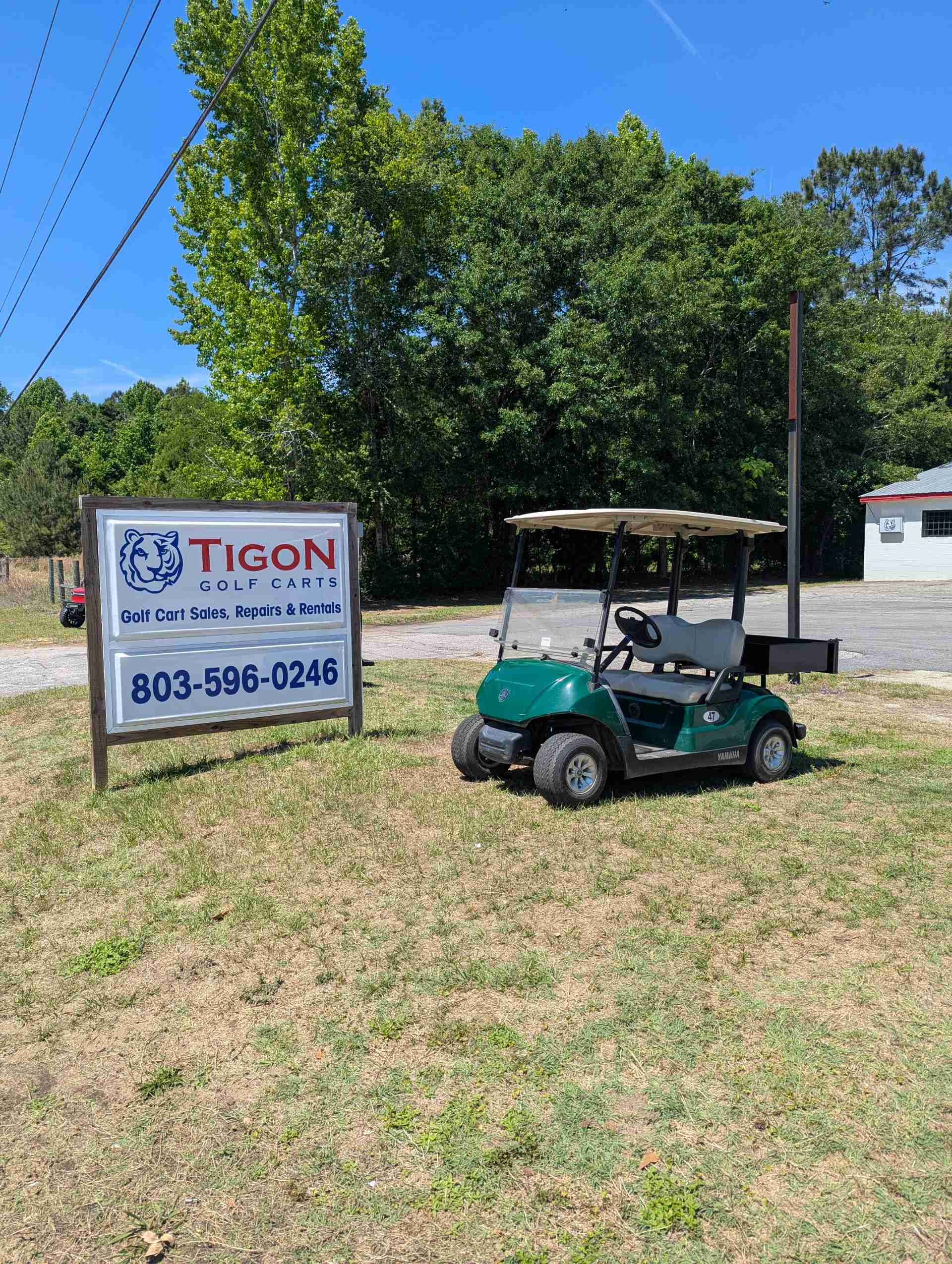 2017 Yamaha Drive 2 Golf Cart in Green