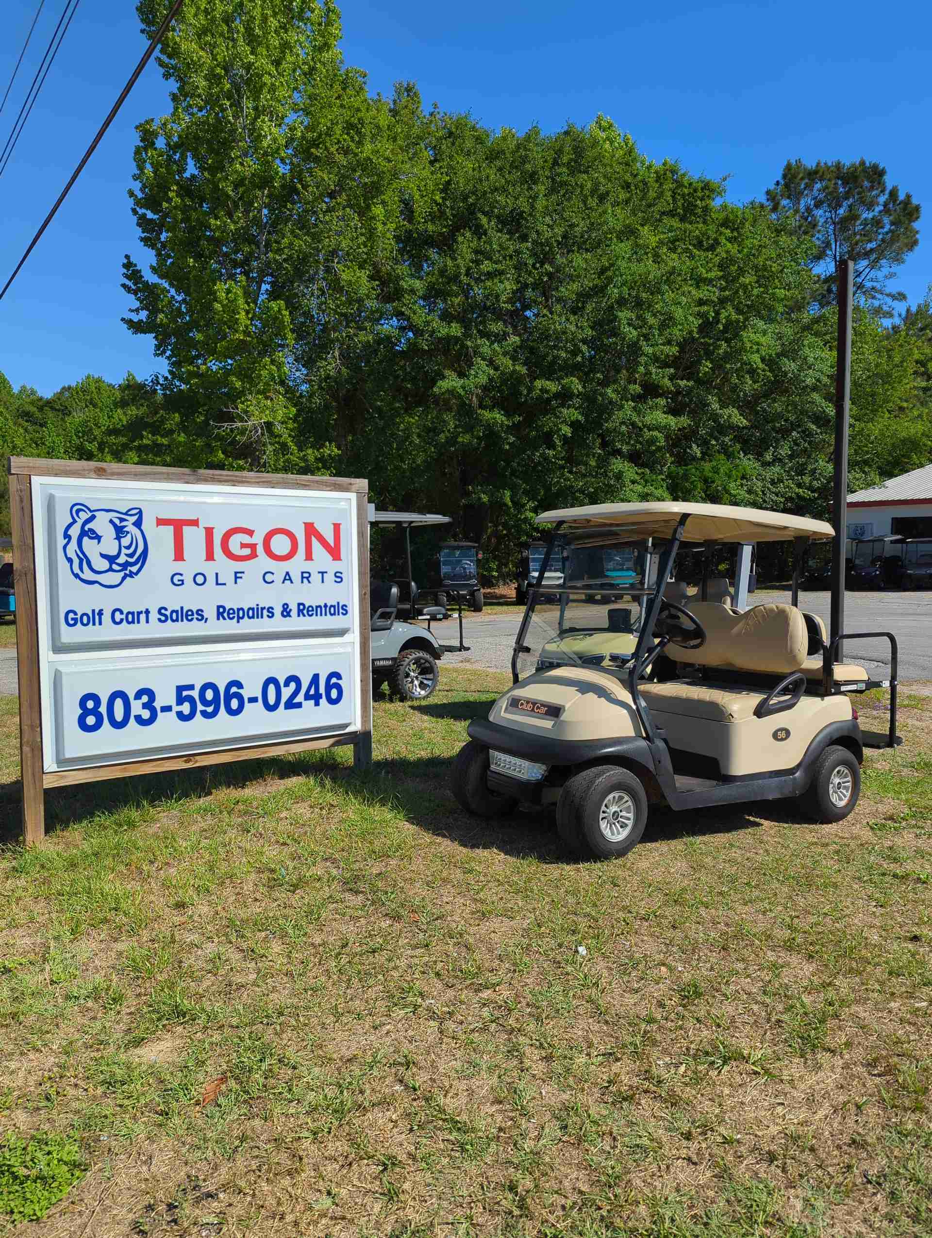 2019 Club Car Precedent Golf Cart in Beige