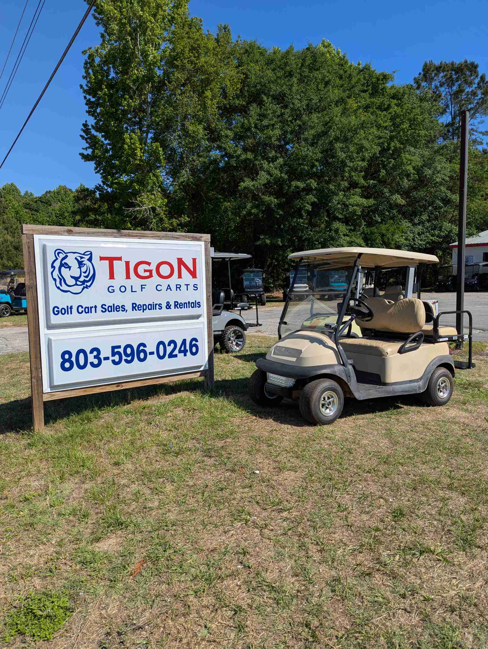 2015 Club Car Precedent Golf Cart in Beige