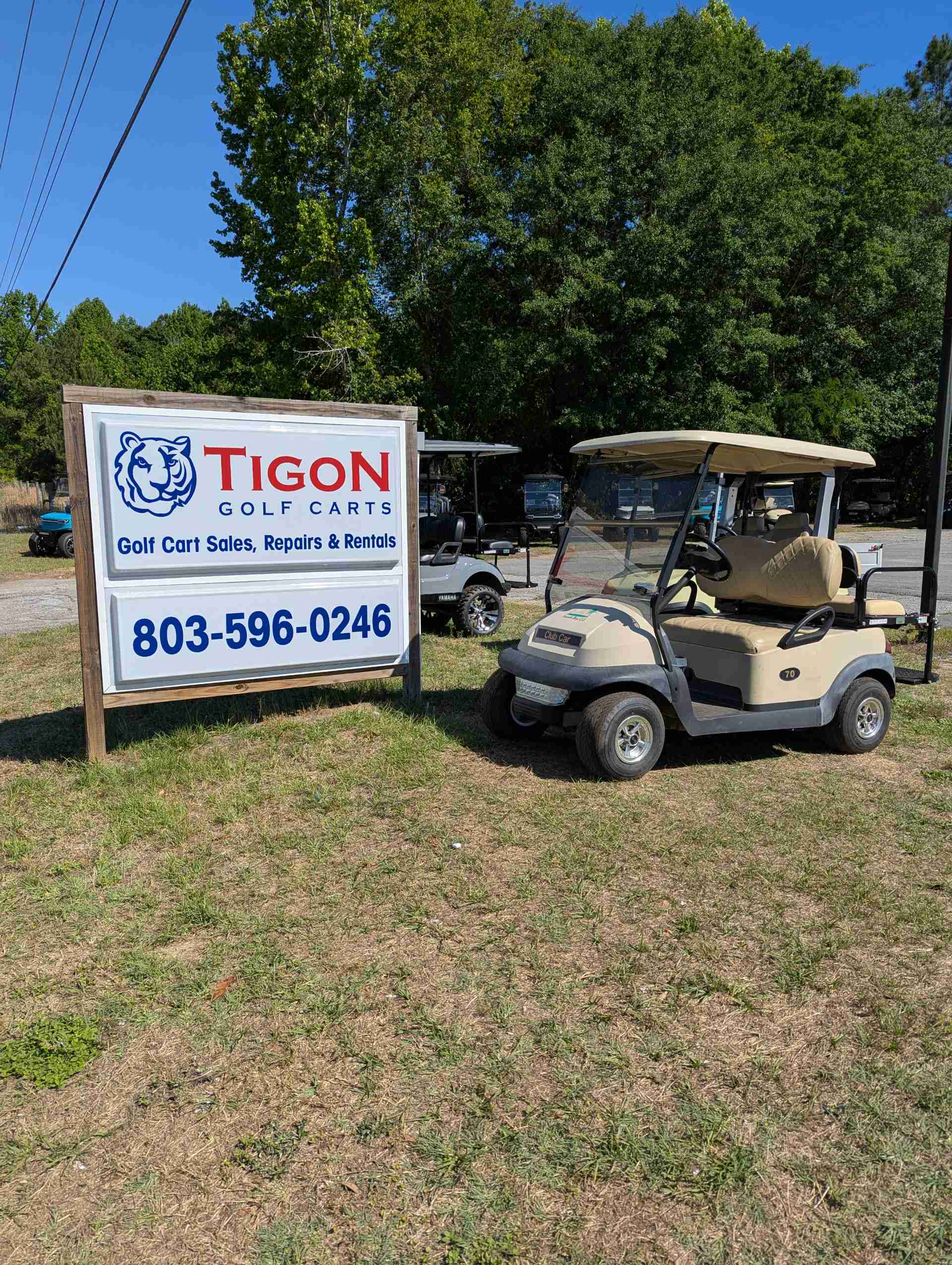 2015 Club Car Precedent Golf Cart in Beige