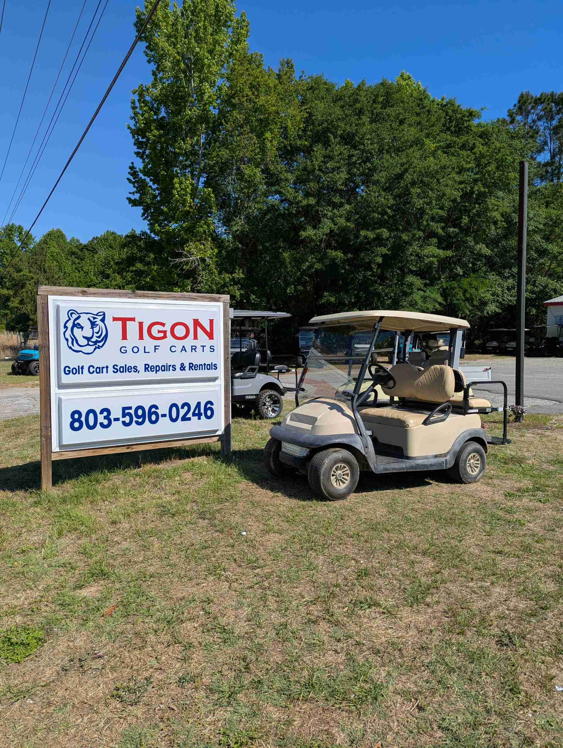 2015 Club Car Precedent Golf Cart in Beige