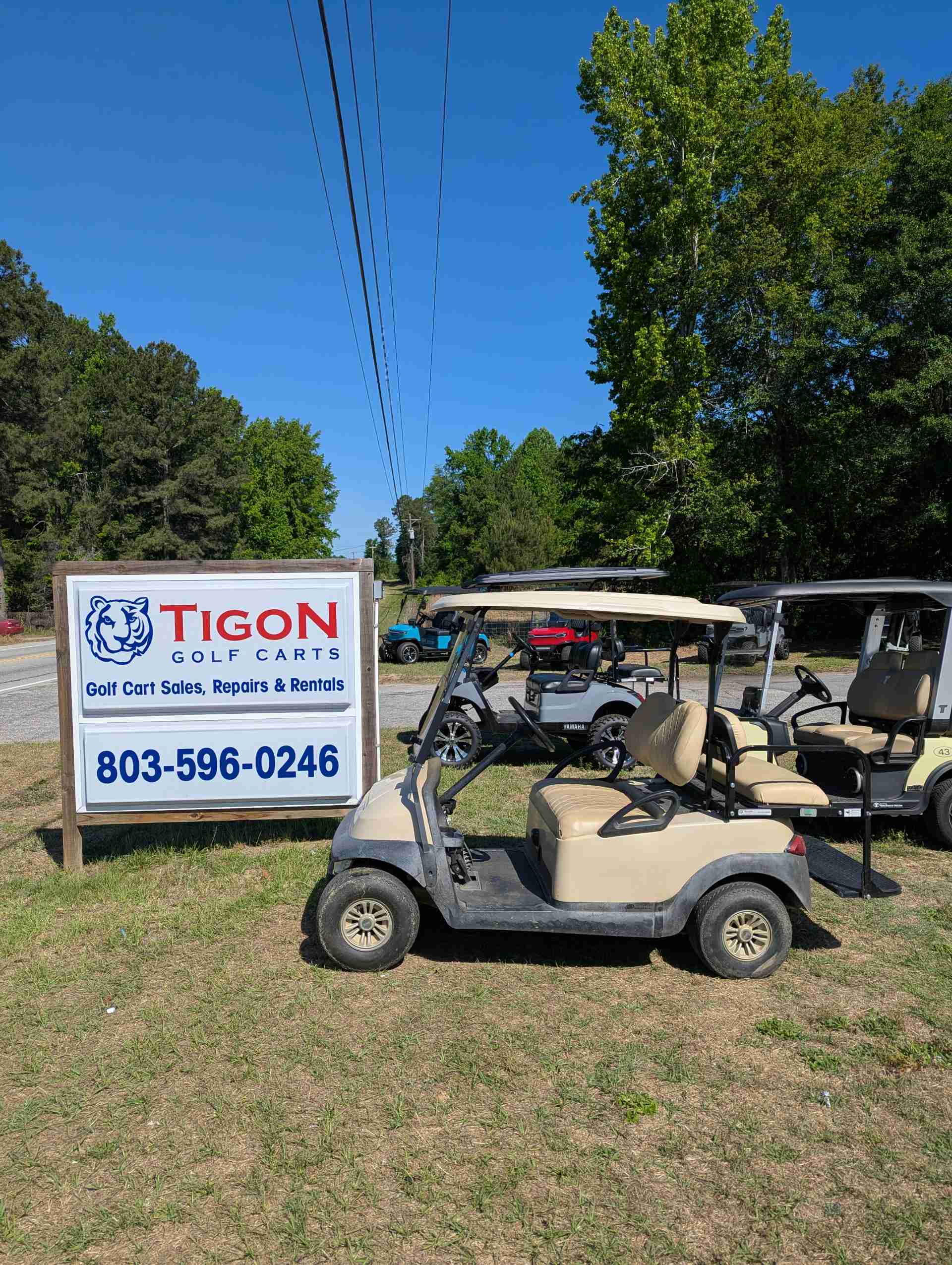 2015 Club Car Precedent Beige image 2