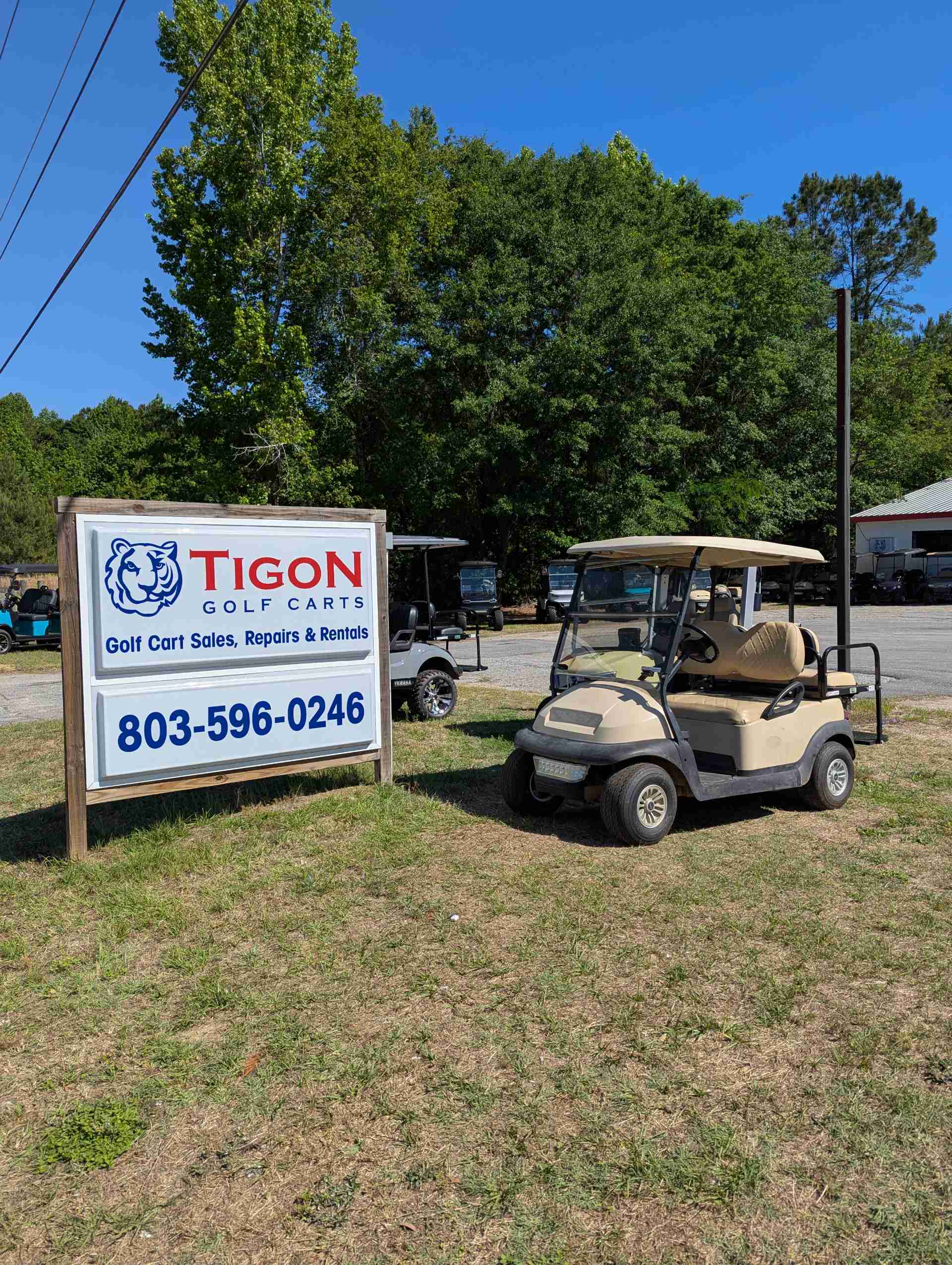 2015 Club Car Precedent Golf Cart in Beige