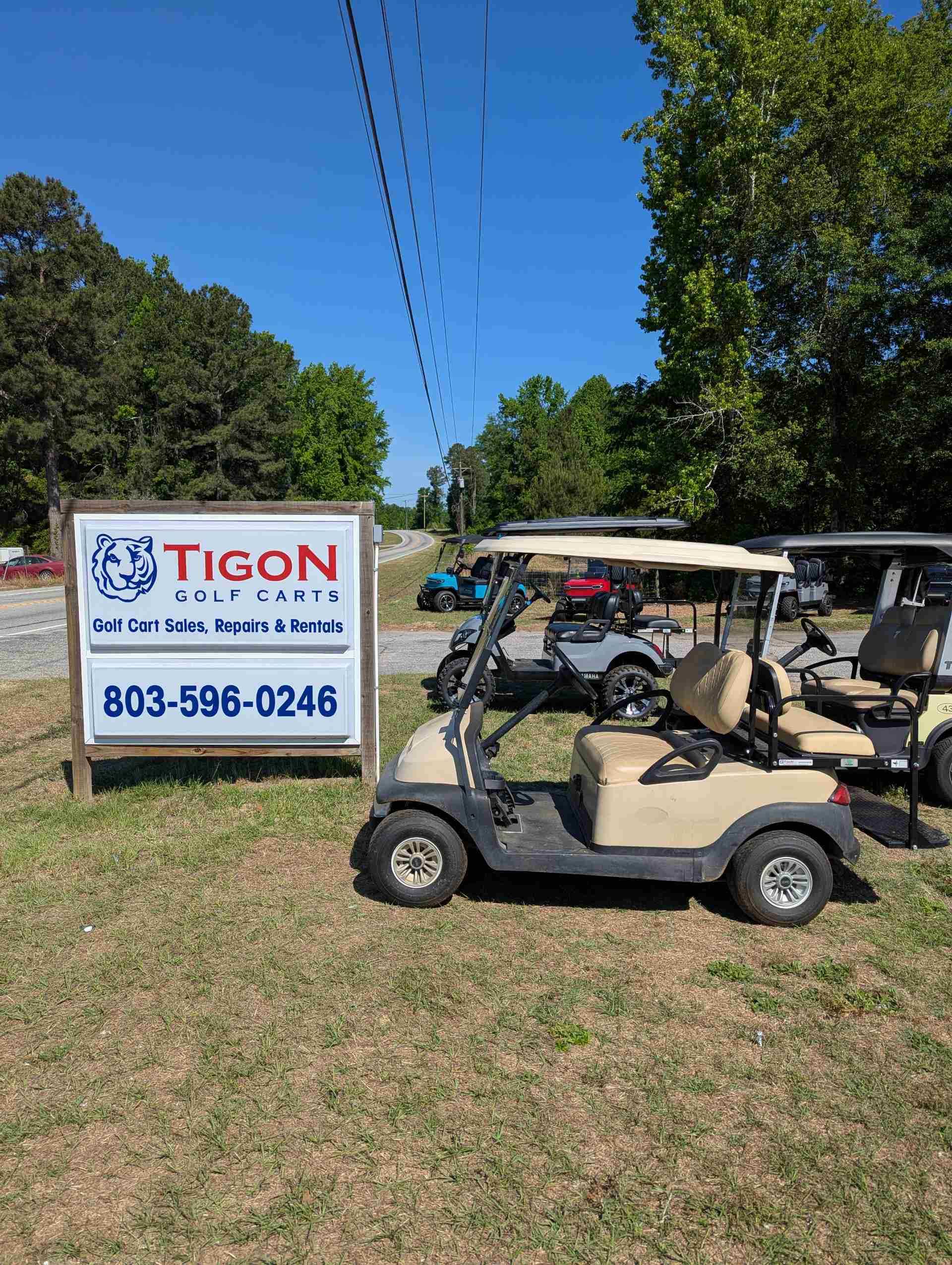 2015 Club Car Precedent Beige image 2