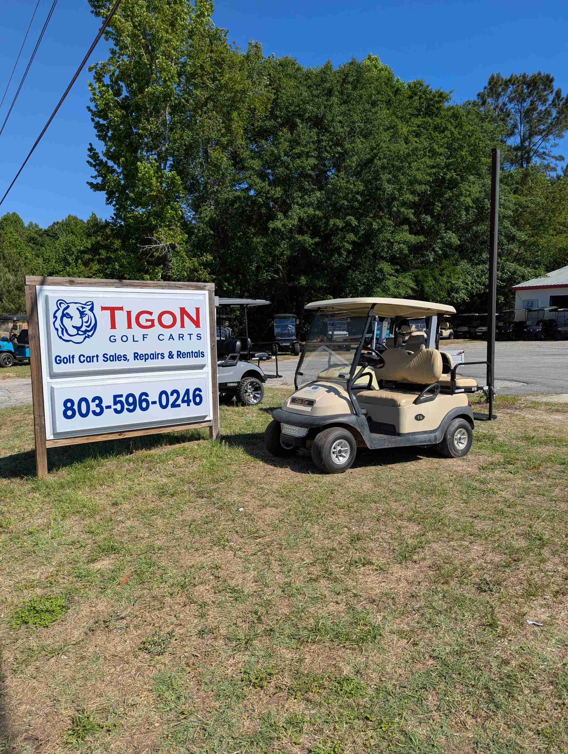 2015 Club Car Precedent Golf Cart in Beige