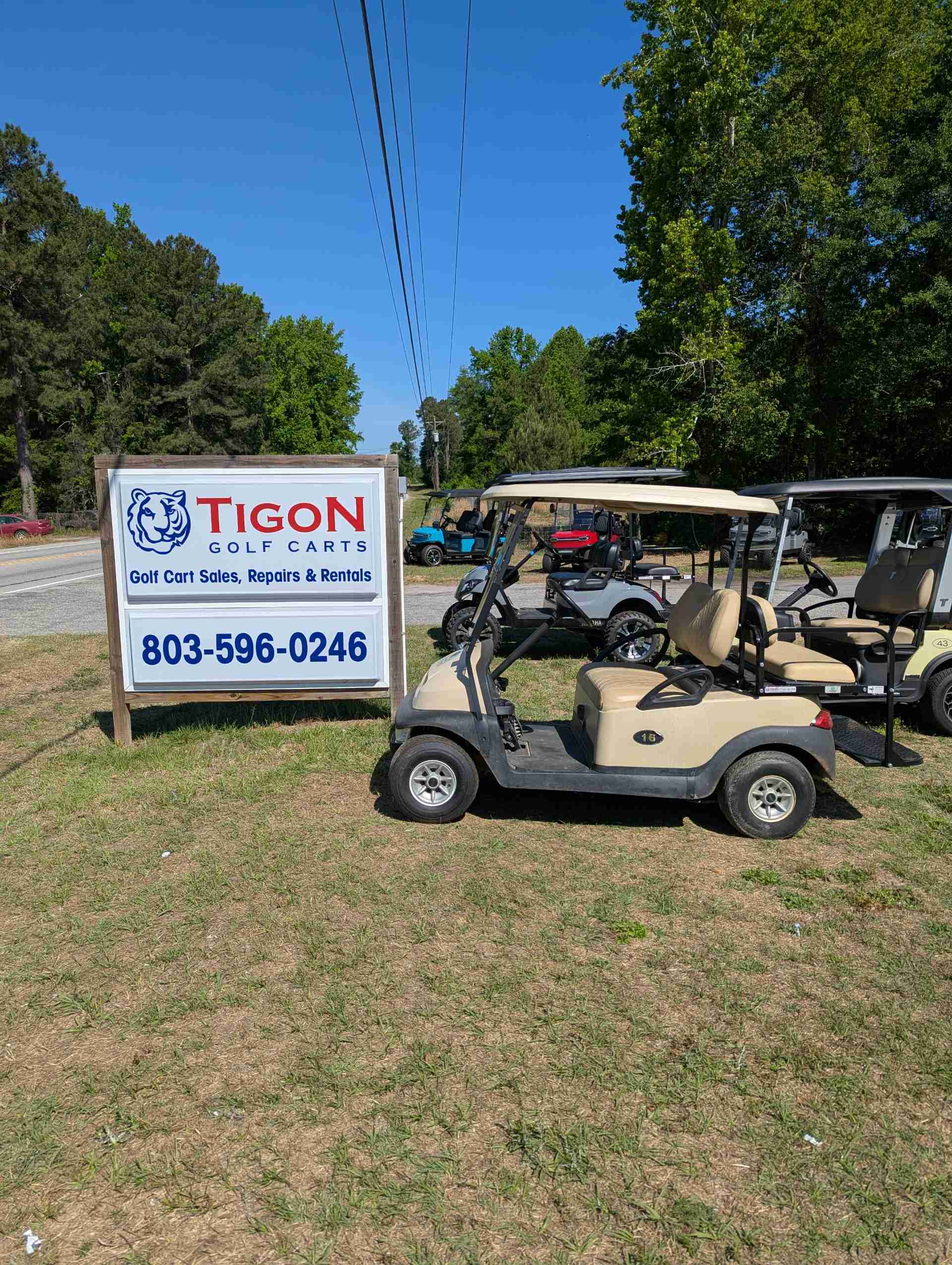 2015 Club Car Precedent Beige image 2