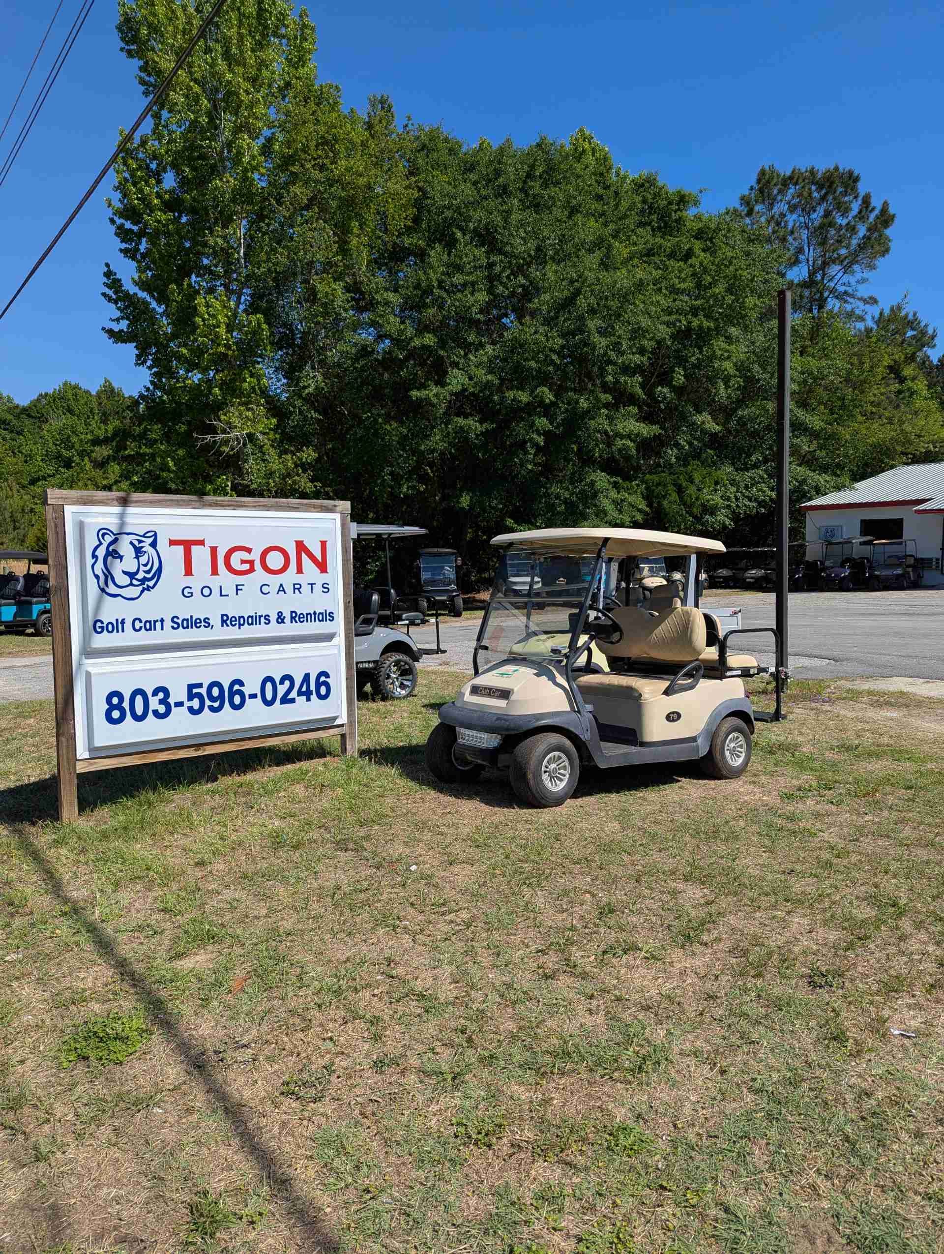 2015 Club Car Precedent Golf Cart in Beige