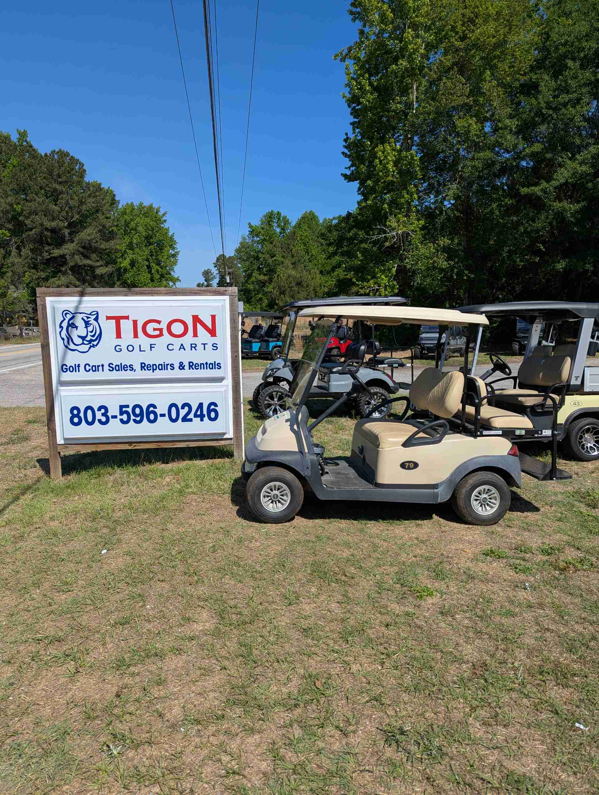 2015 Club Car Precedent Beige image 2