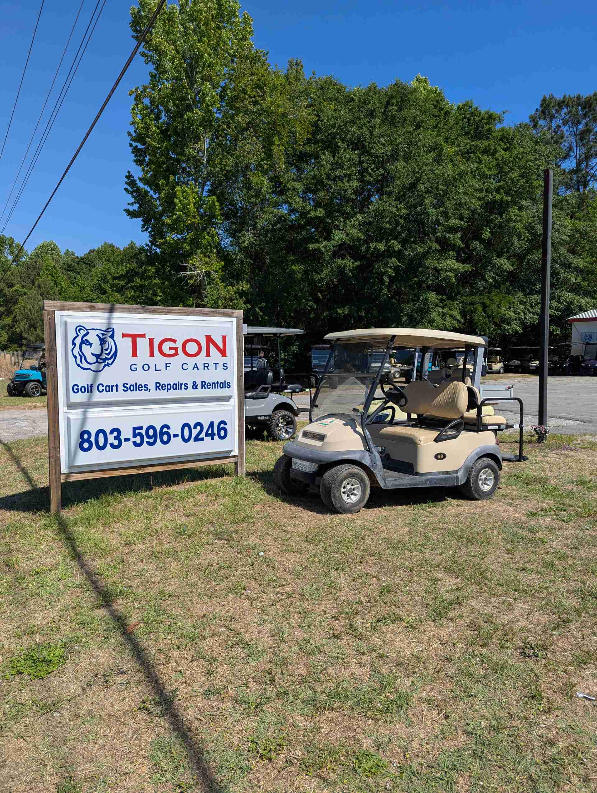 2015 Club Car Precedent Golf Cart in Beige