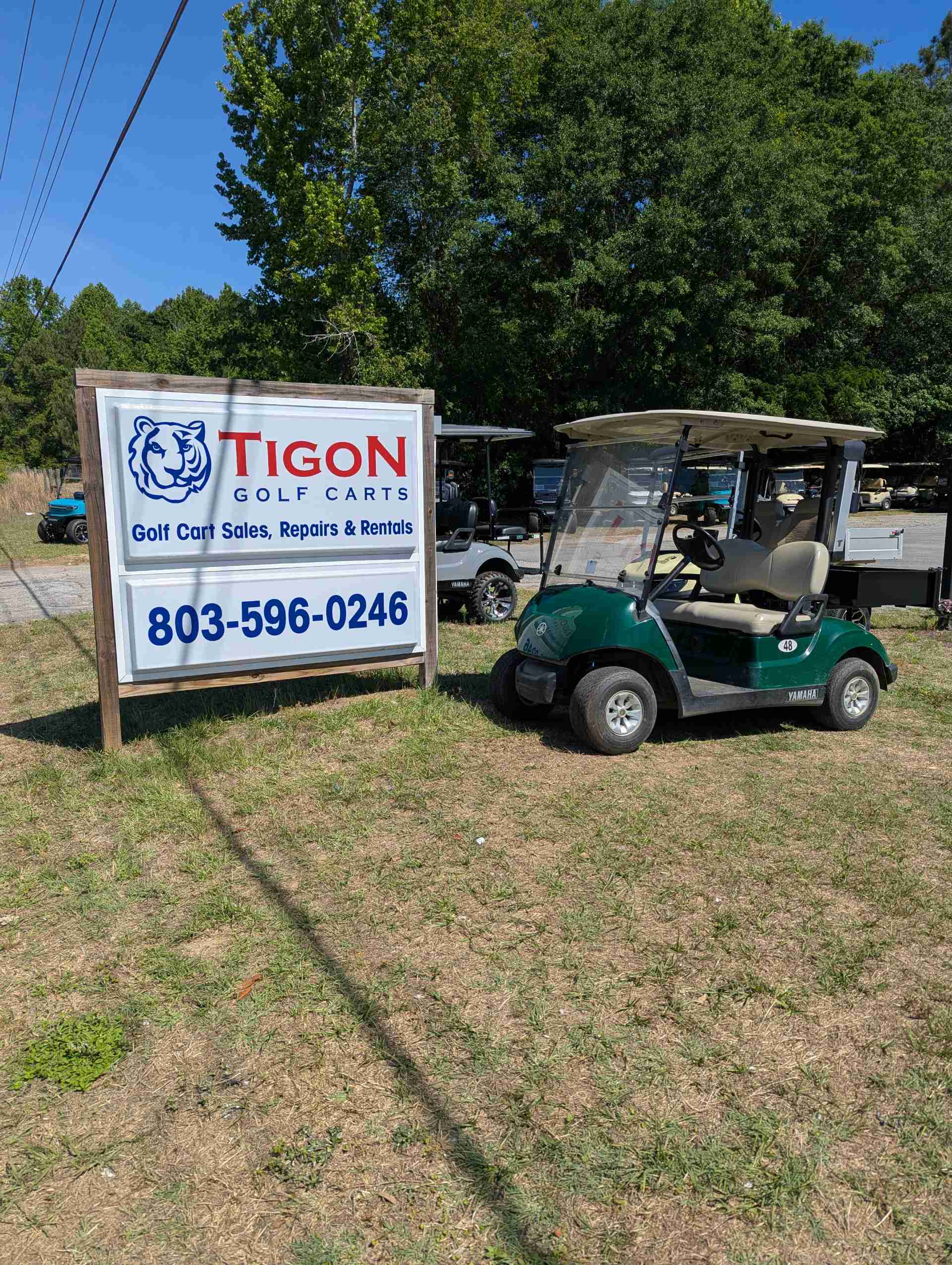 2017 Yamaha Drive 2 Golf Cart in Green