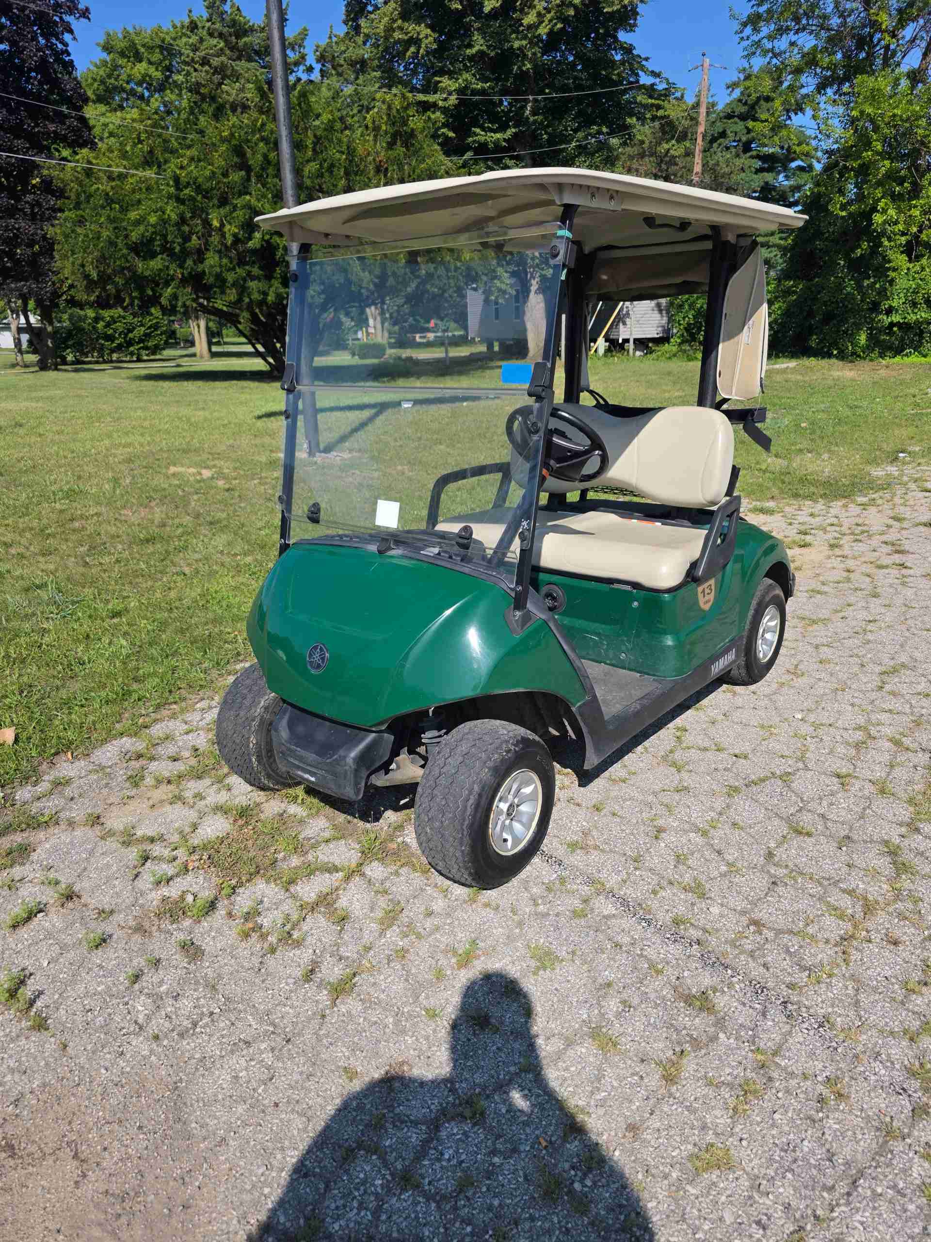 2017 Yamaha Drive 2 Golf Cart in Green