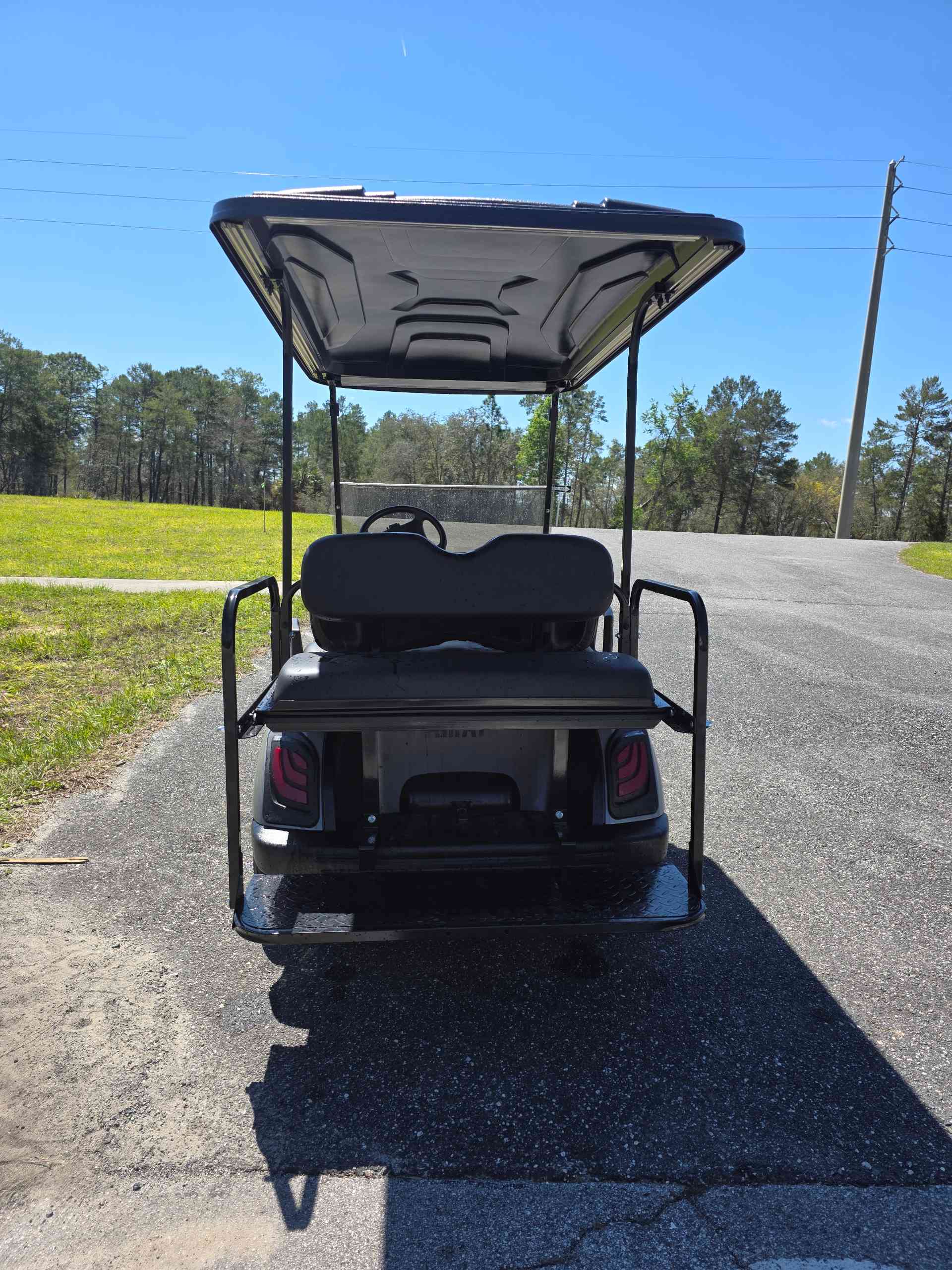 2016 Yamaha Drive 2 Gray golf cart in Gray — photo 4 of 4, Lecanto, FL