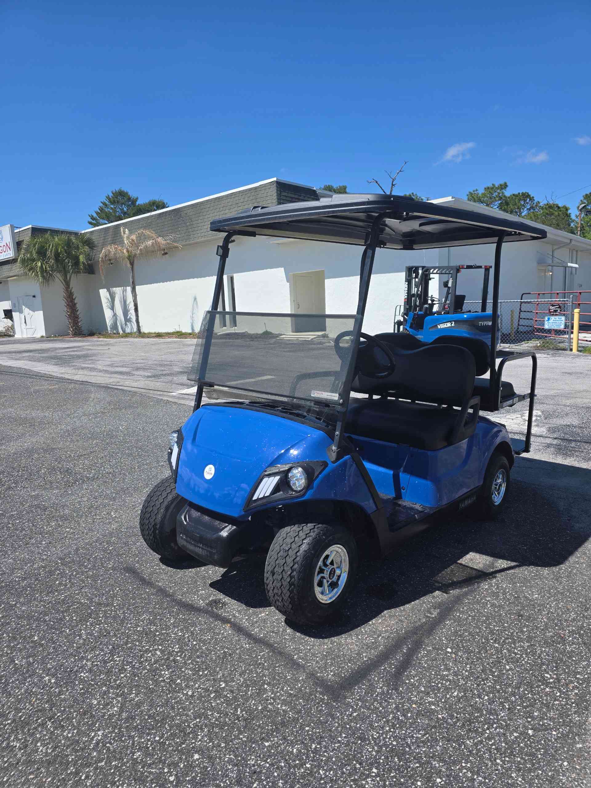 2016 Yamaha Drive 2 Golf Cart in Blue