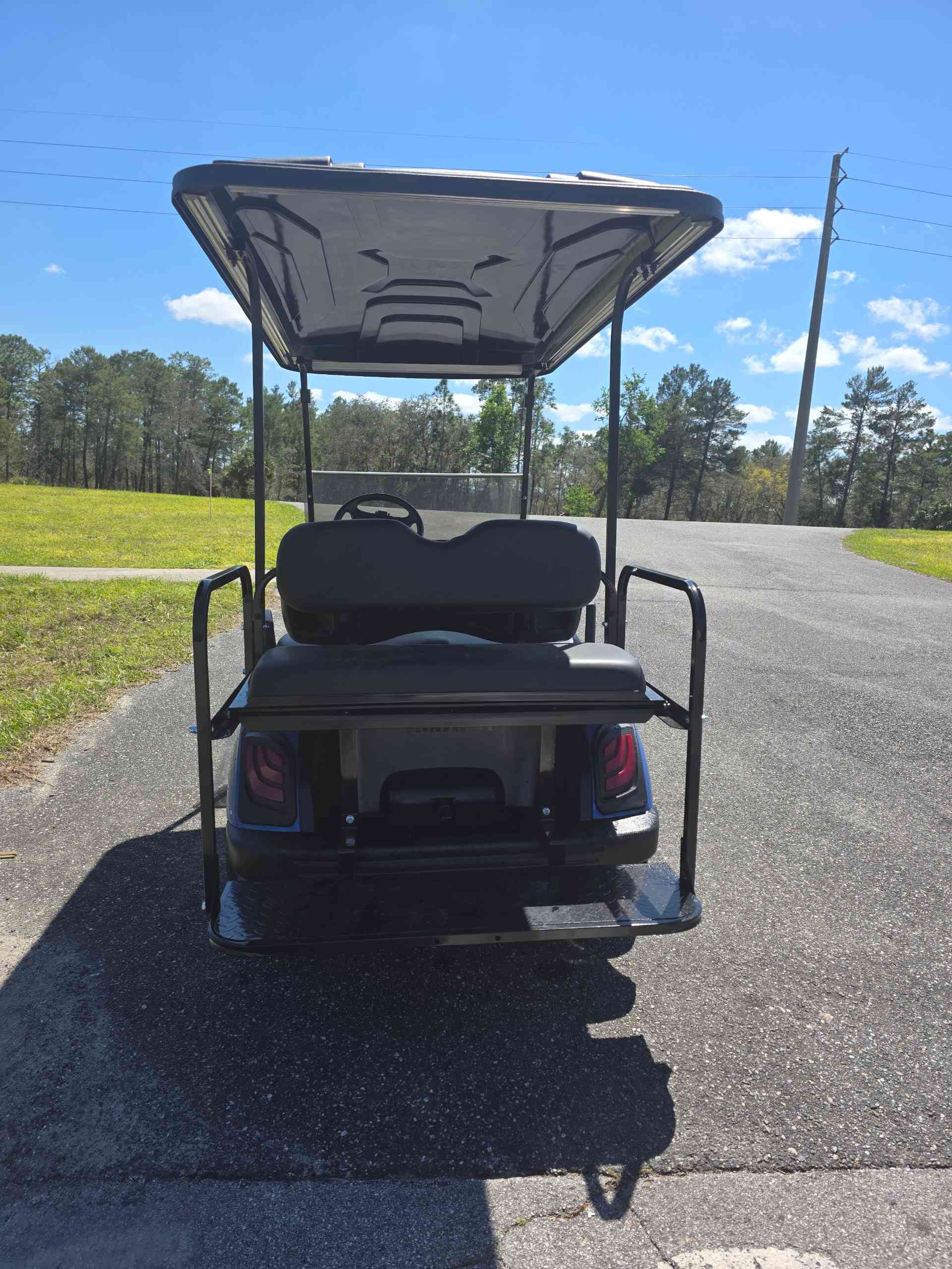 2016 Yamaha Drive 2 Blue golf cart in Blue — photo 4 of 4, Lecanto, FL