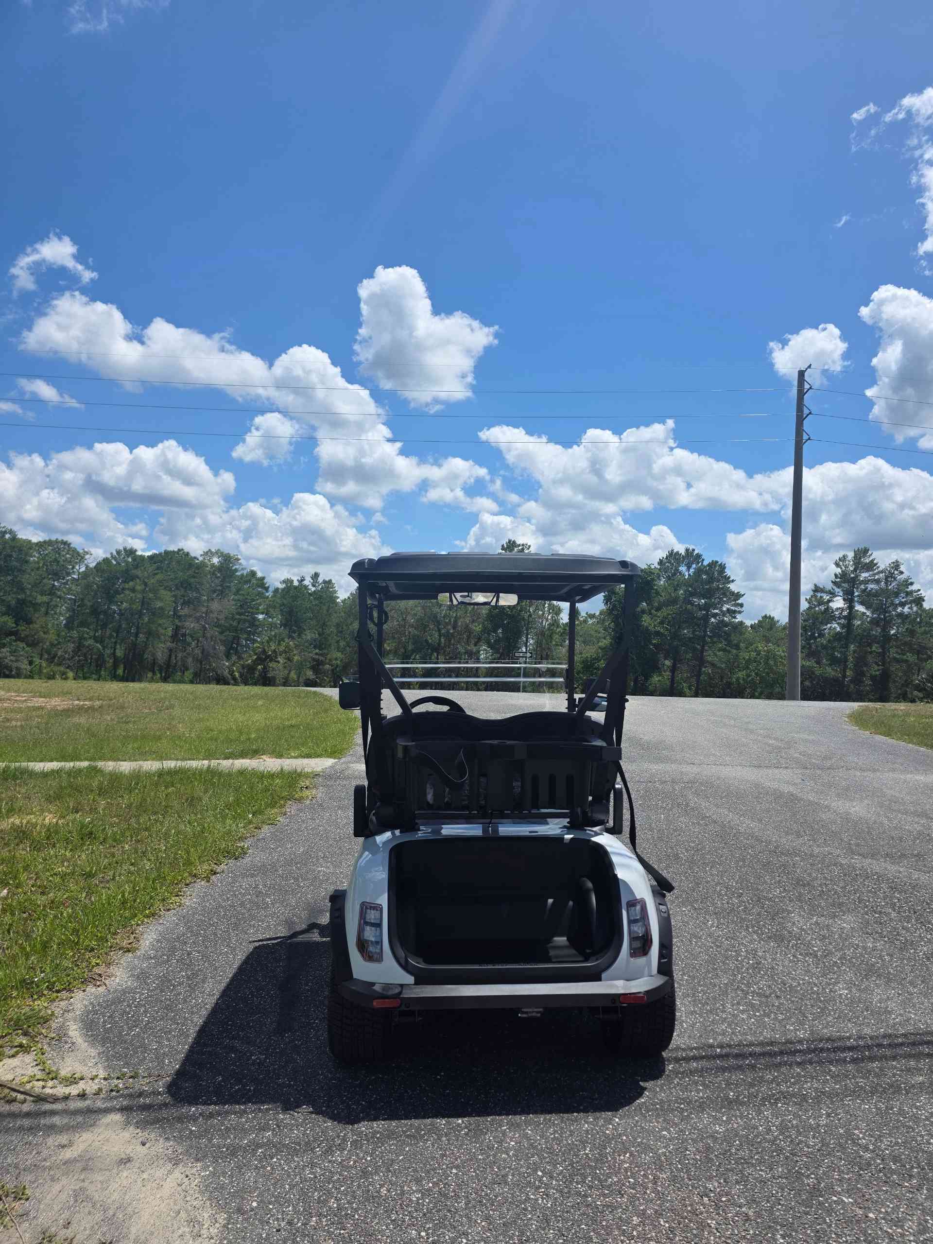 2026 Denago Scout 2 White golf cart in White — photo 4 of 4, Lecanto, FL