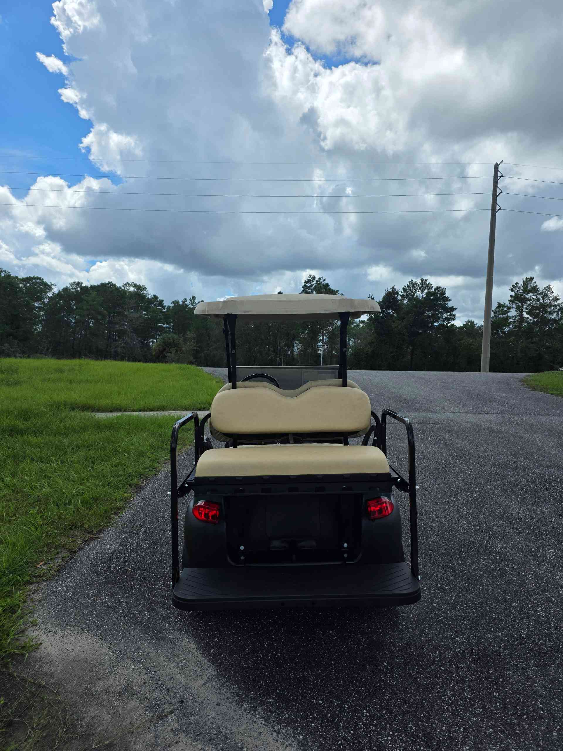 2020 Club Car Tempo Green golf cart in Green — photo 4 of 4, Lecanto, FL