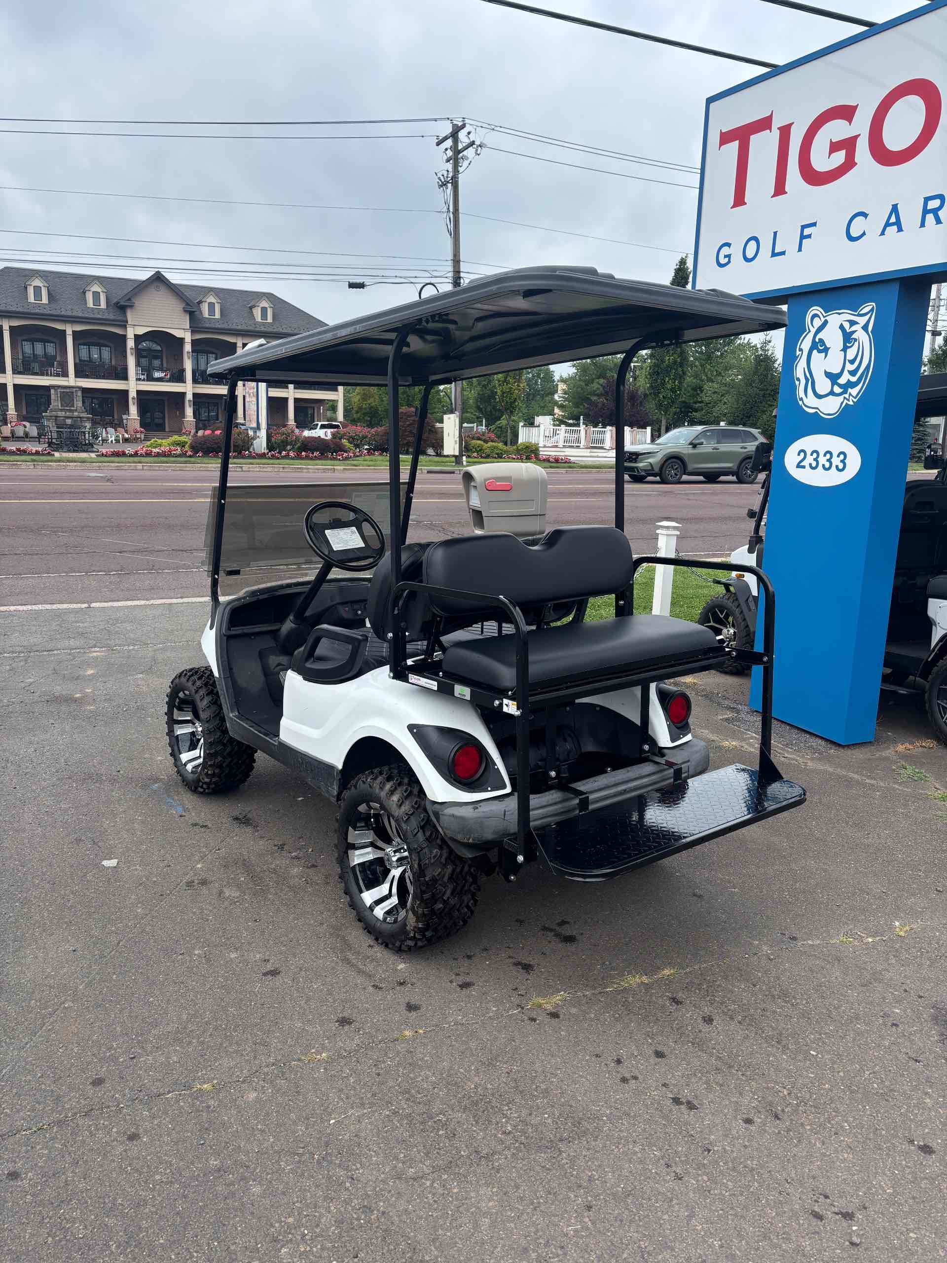 2019 Yamaha G29 White golf cart in White — photo 3 of 4, Dover, DE