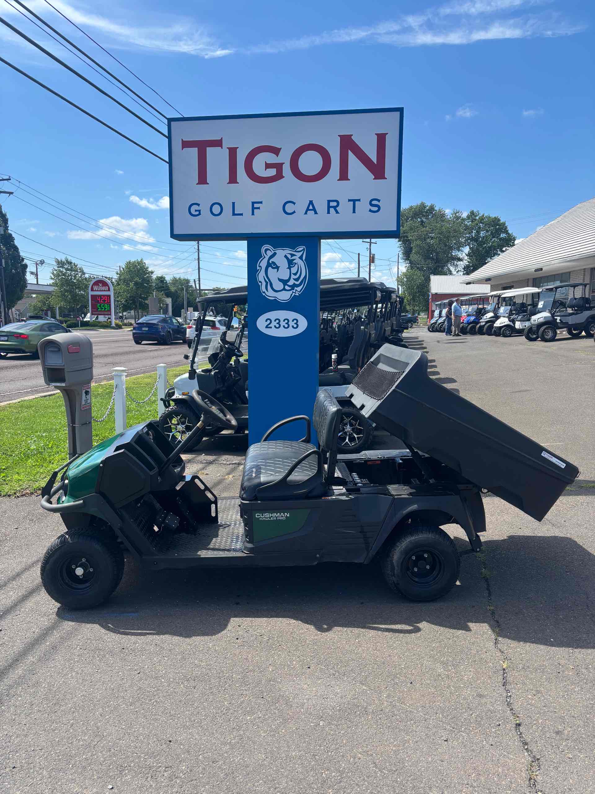 2020 Cushman Other Green golf cart in Green — photo 2 of 4, Hatfield, PA