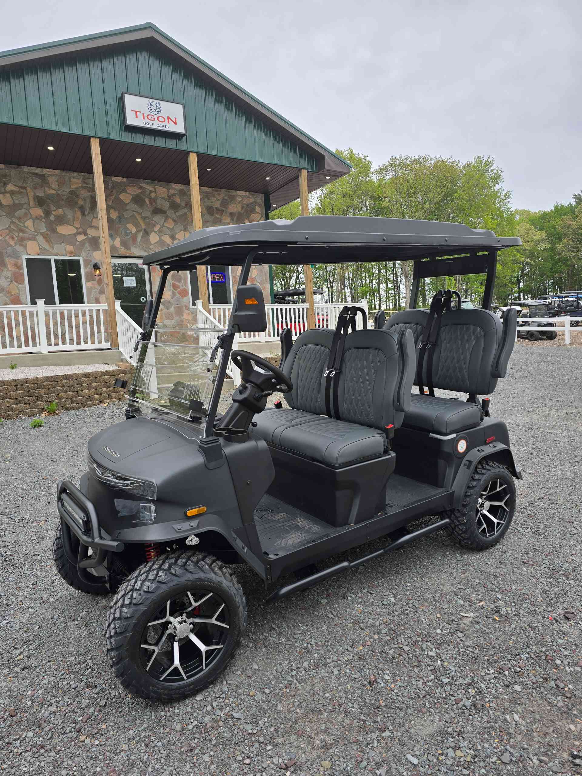 2026 Denago Rover XL Golf Cart in Matte Black