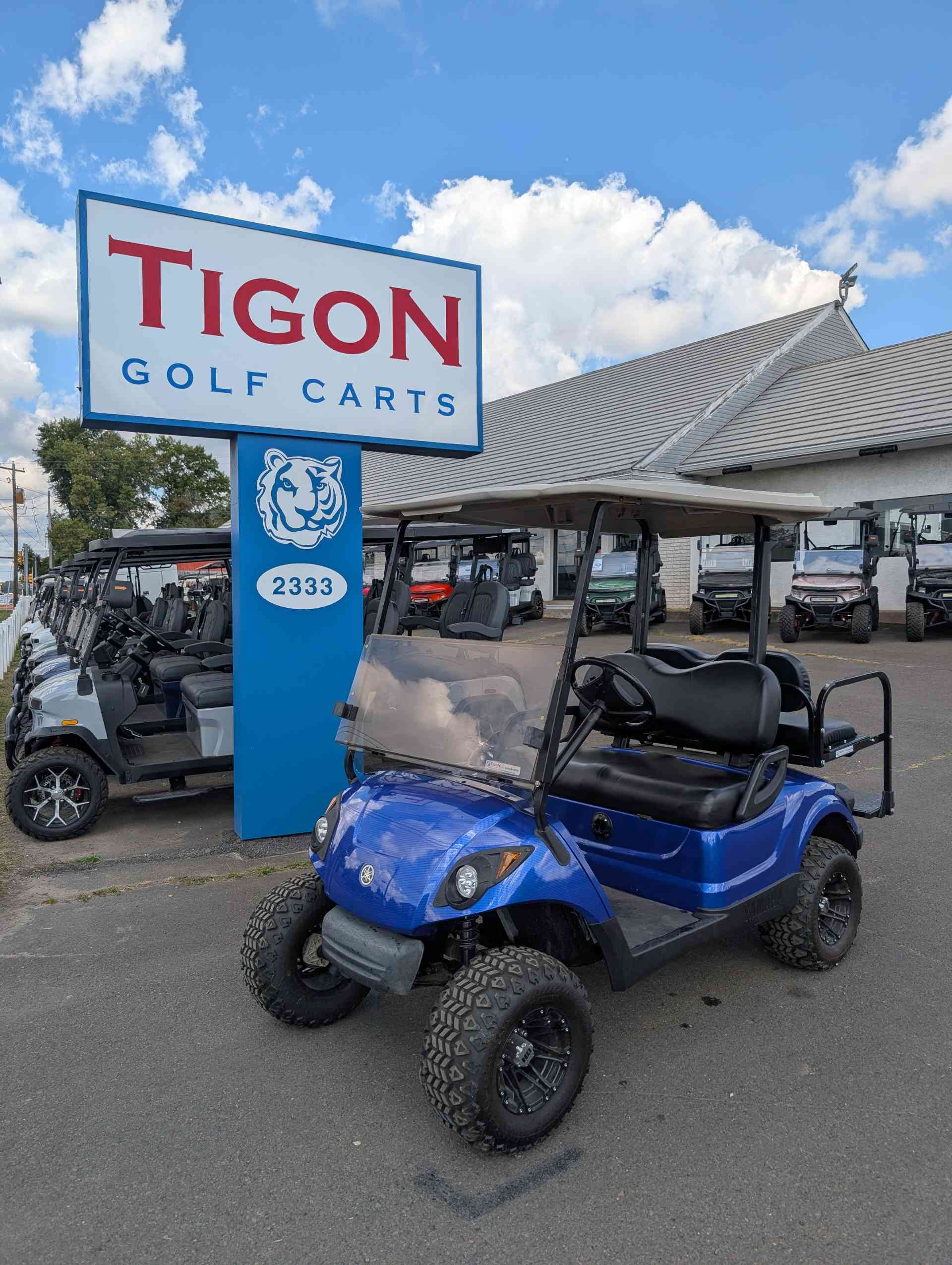 2010 Yamaha G29 Golf Cart in Blue