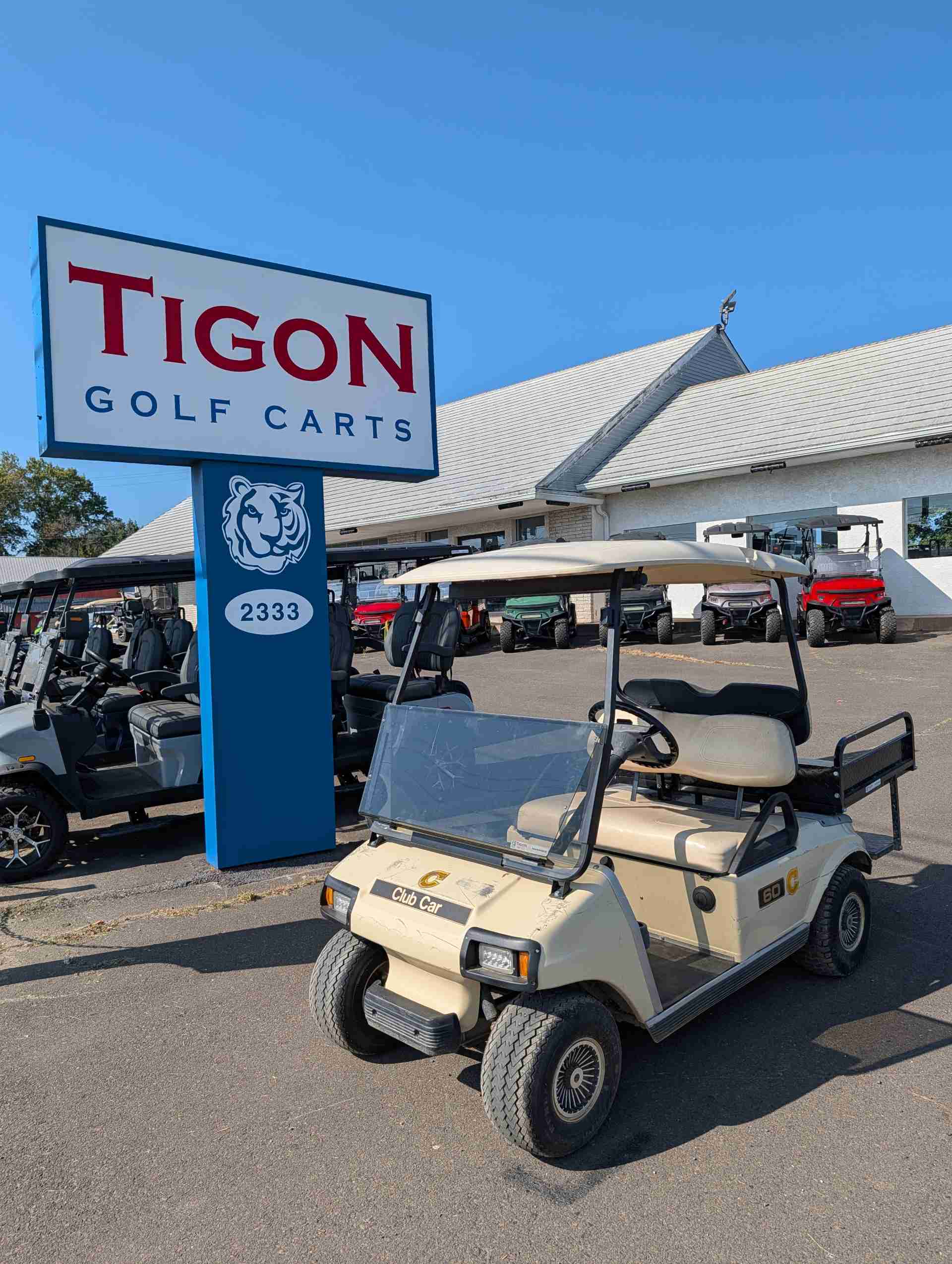 2005 Club Car DS Golf Cart in Beige