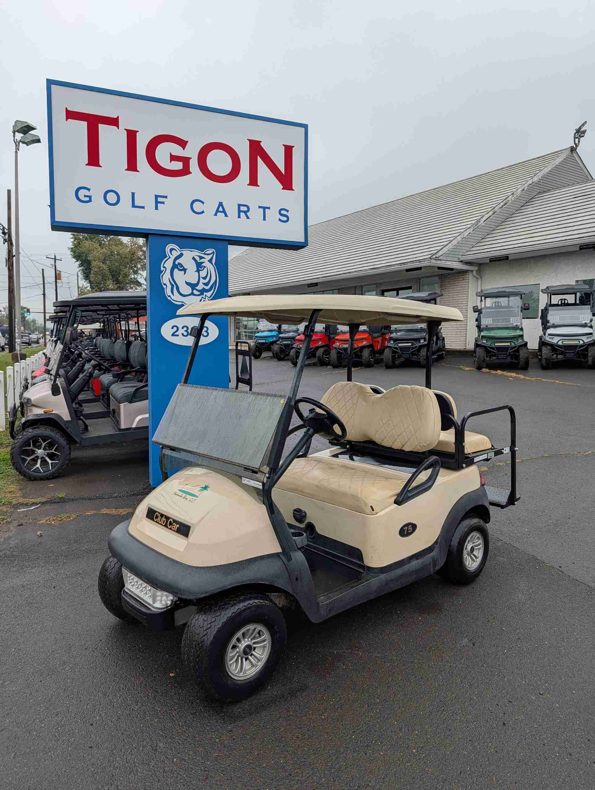 2015 Club Car Precedent Golf Cart in Beige