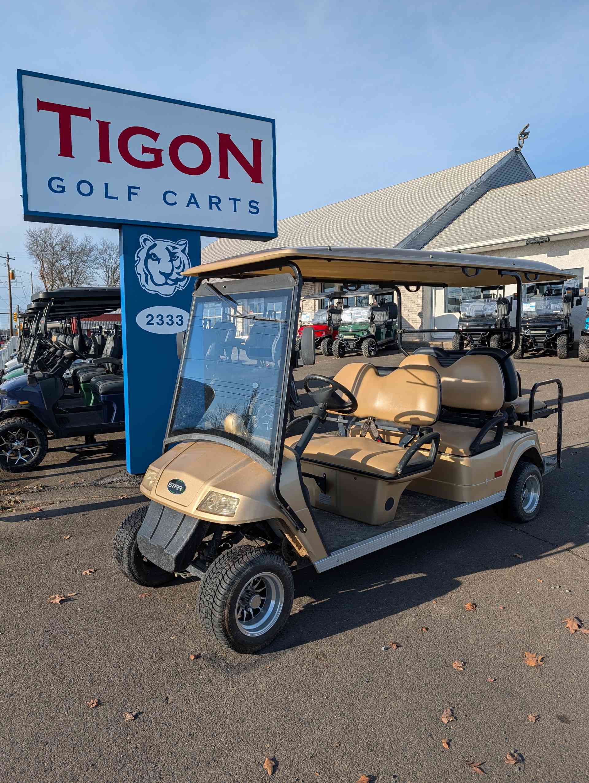 2015 Star EV CLASSIC Golf Cart